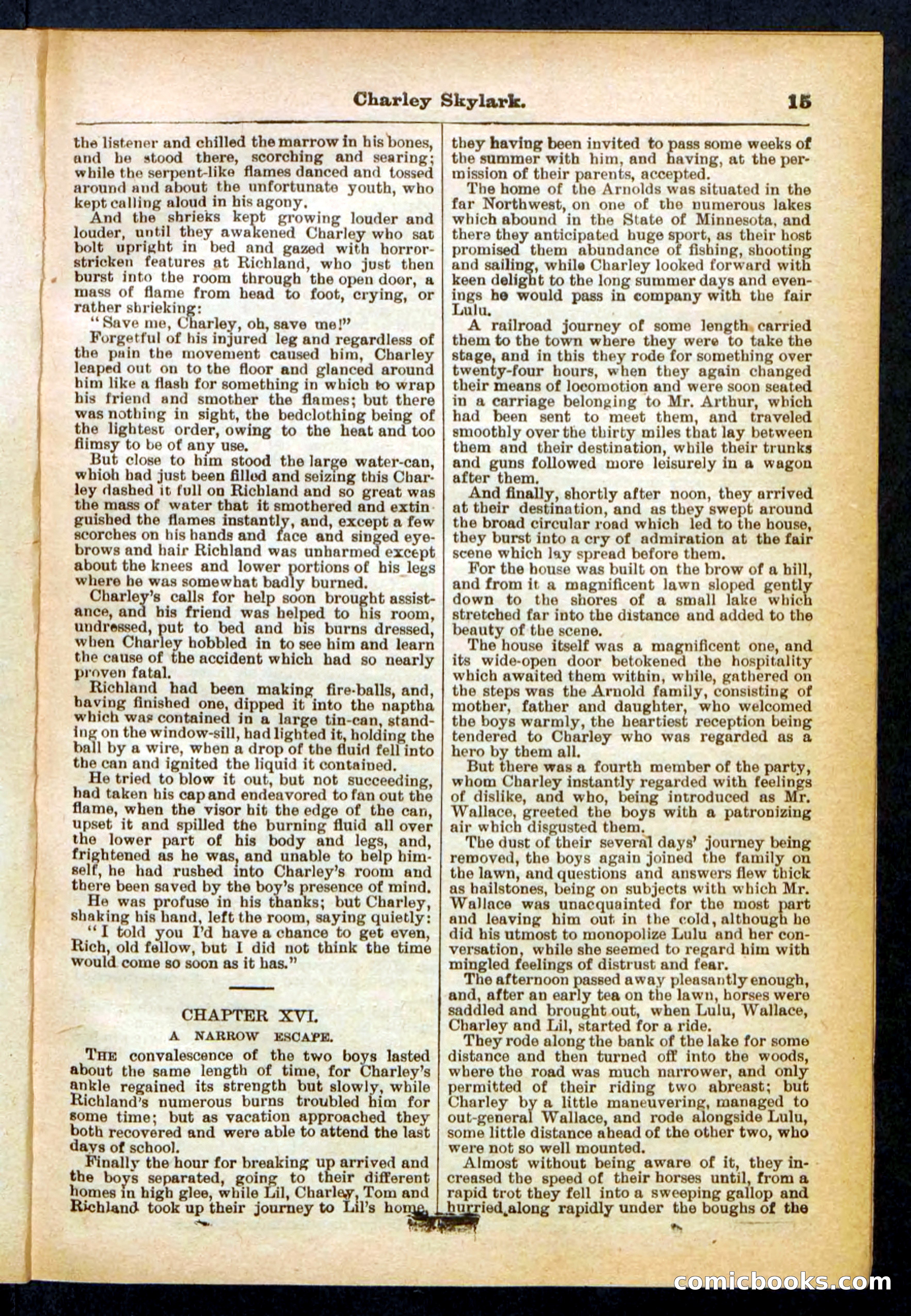 Beadle's Pocket Library No. 391 — page 15 of 32