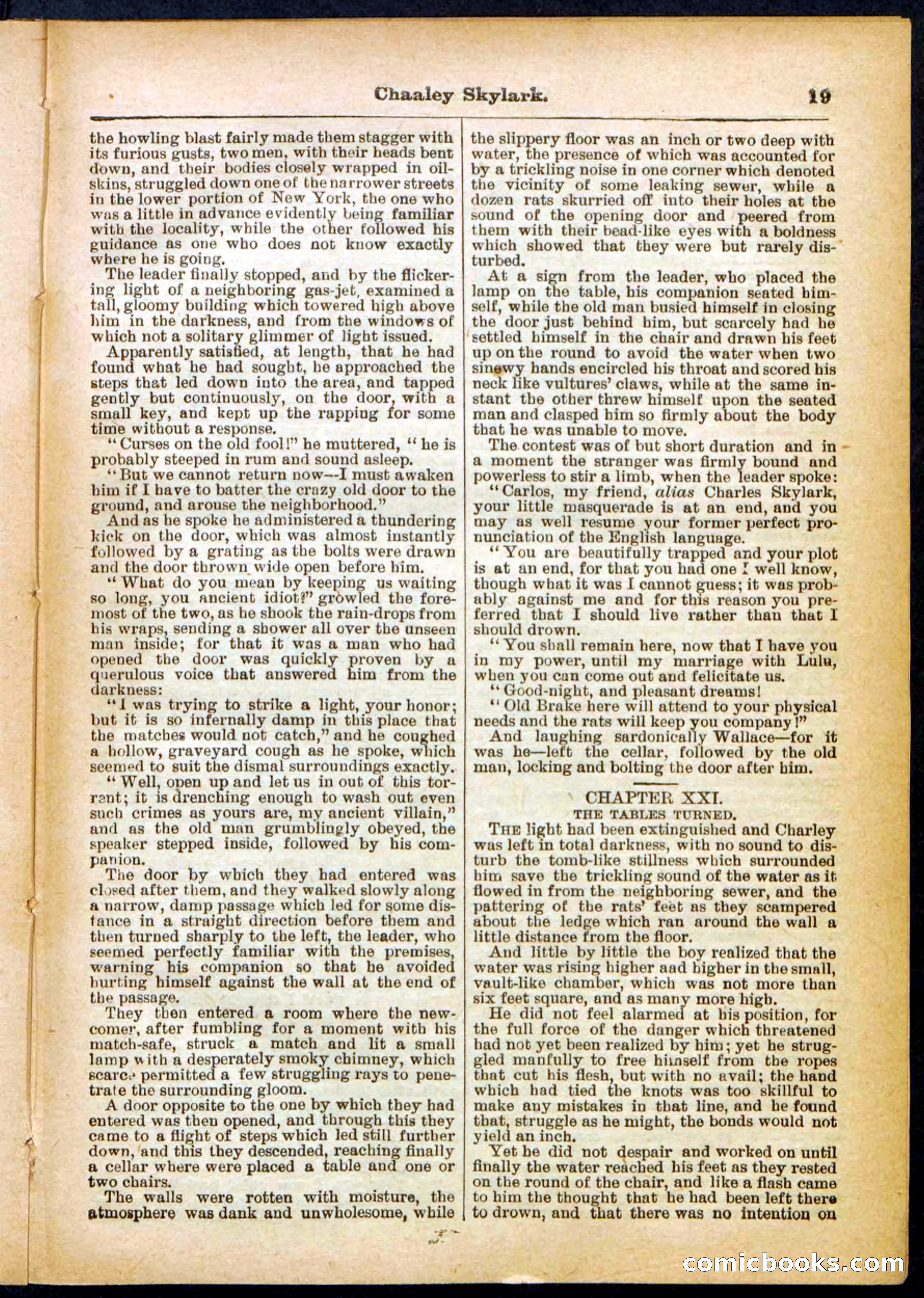 Beadle's Pocket Library No. 391 — page 19 of 32