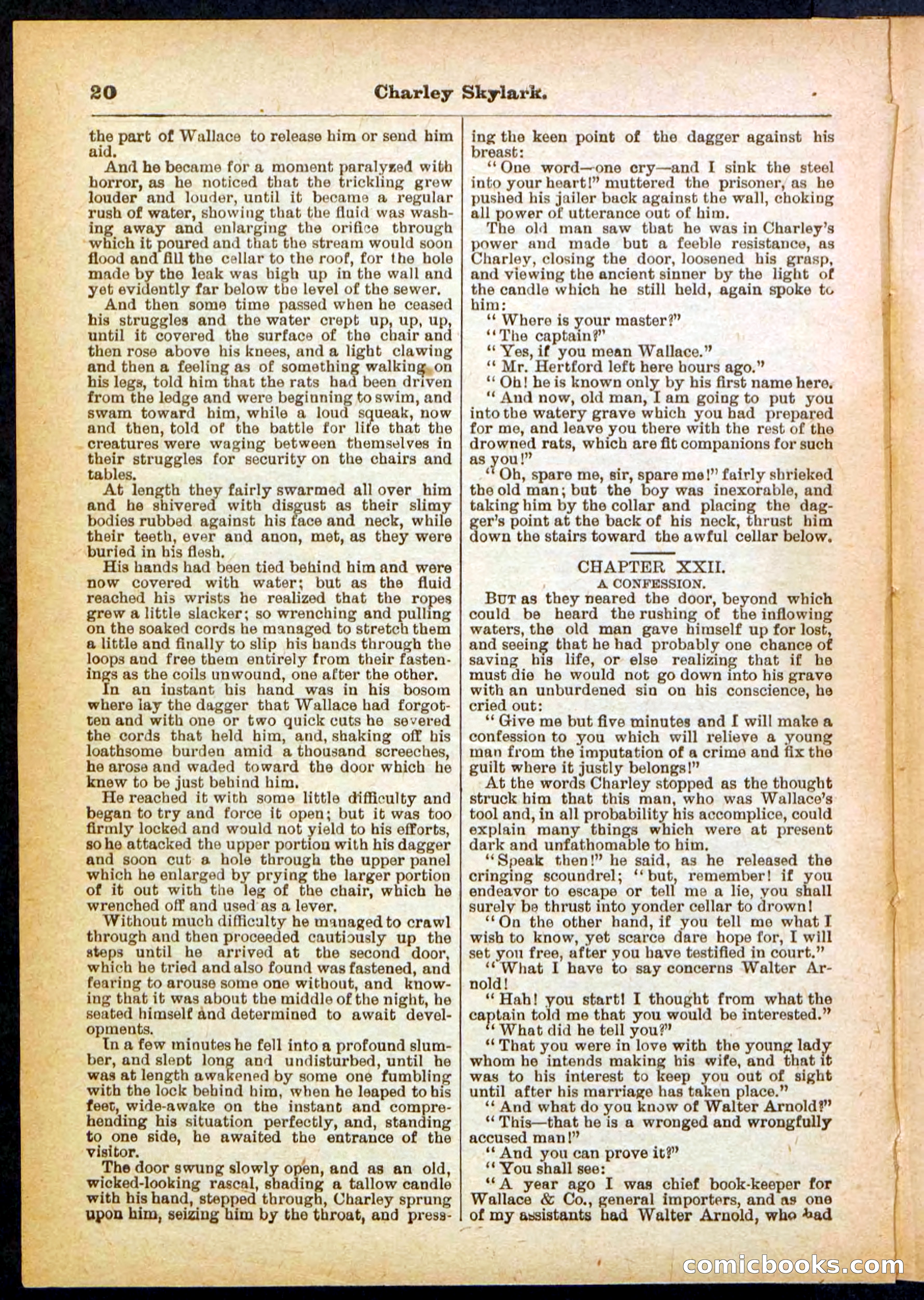 Beadle's Pocket Library No. 391 — page 20 of 32