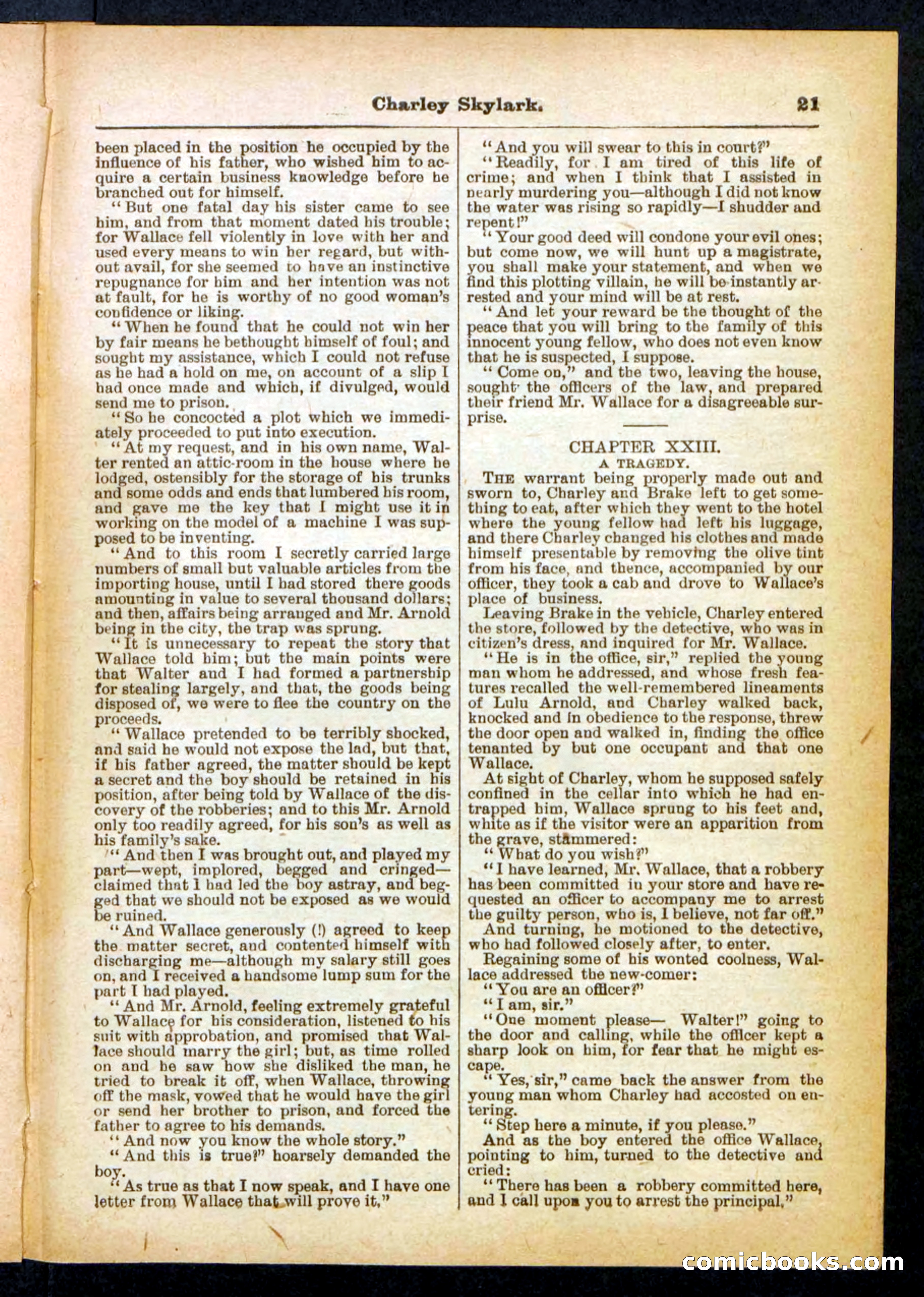 Beadle's Pocket Library No. 391 — page 21 of 32