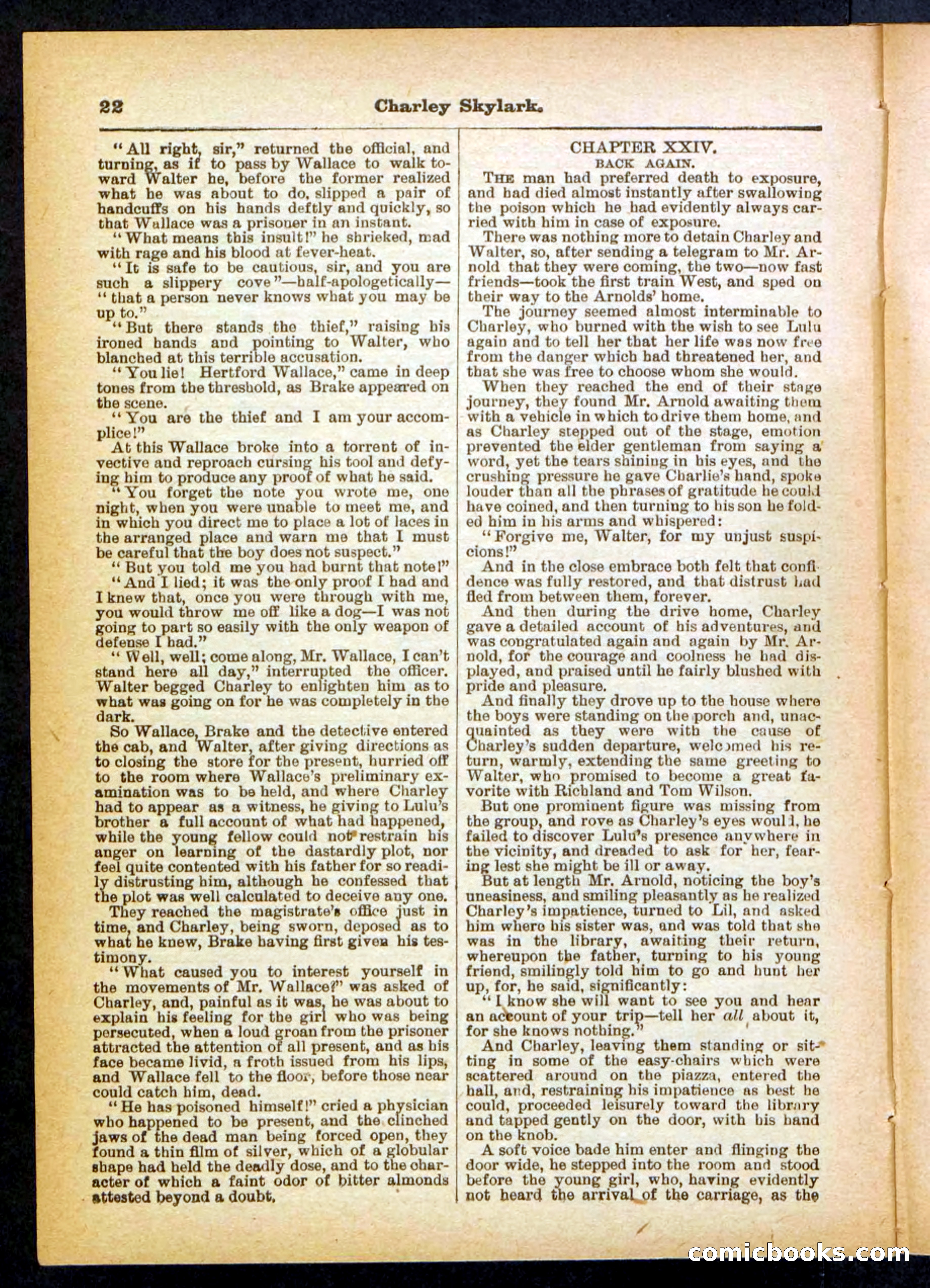 Beadle's Pocket Library No. 391 — page 22 of 32