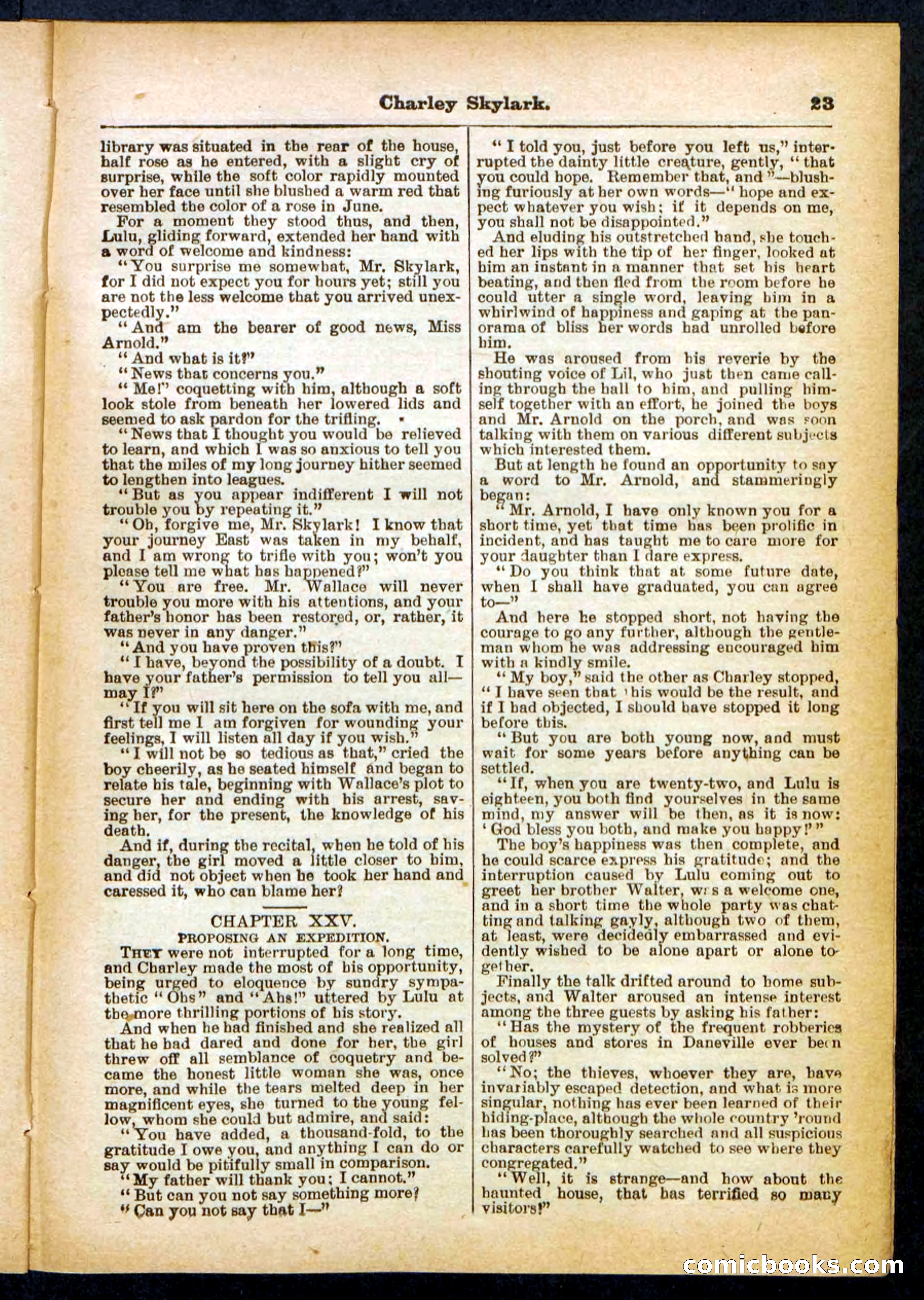 Beadle's Pocket Library No. 391 — page 23 of 32