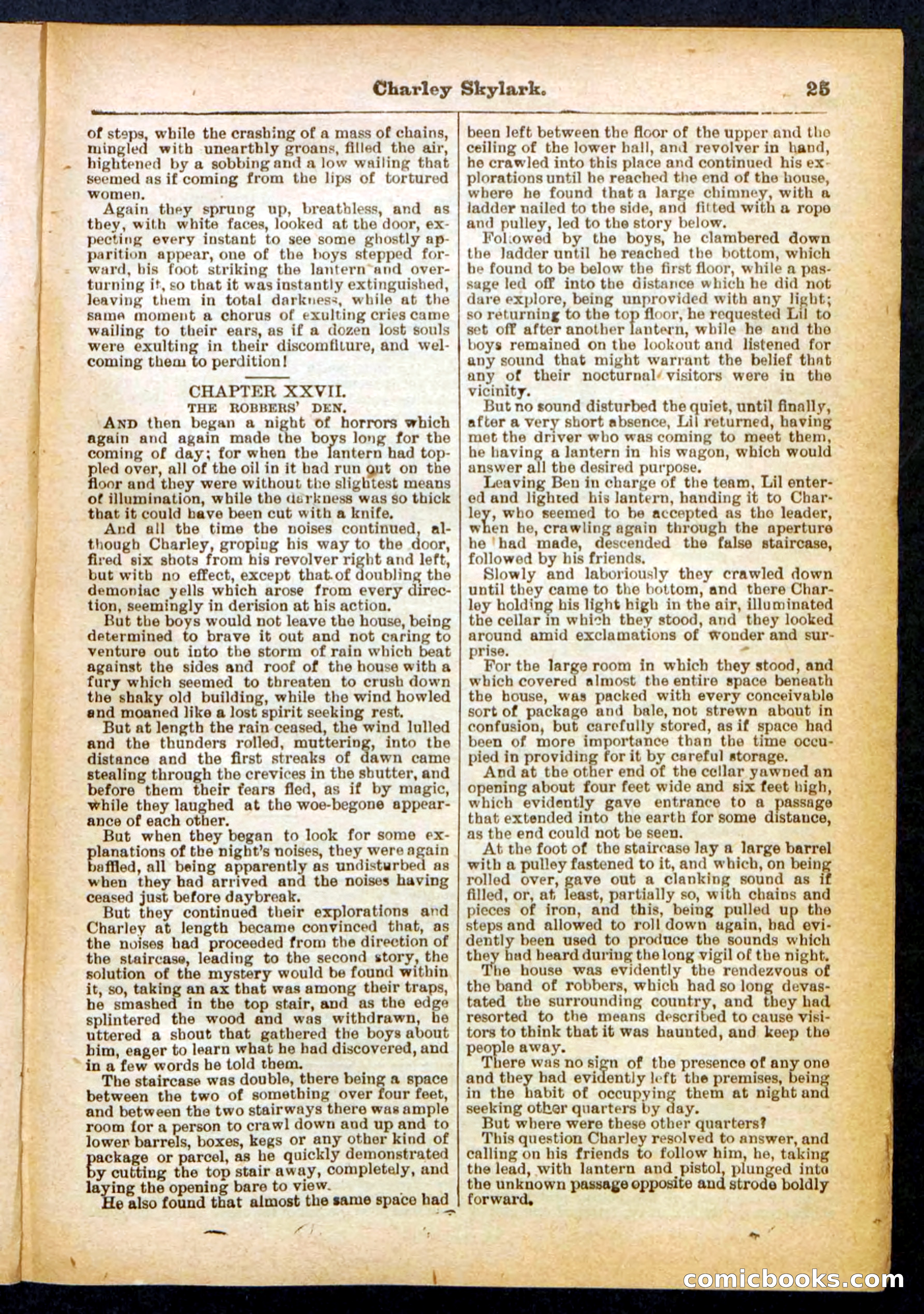 Beadle's Pocket Library No. 391 — page 25 of 32