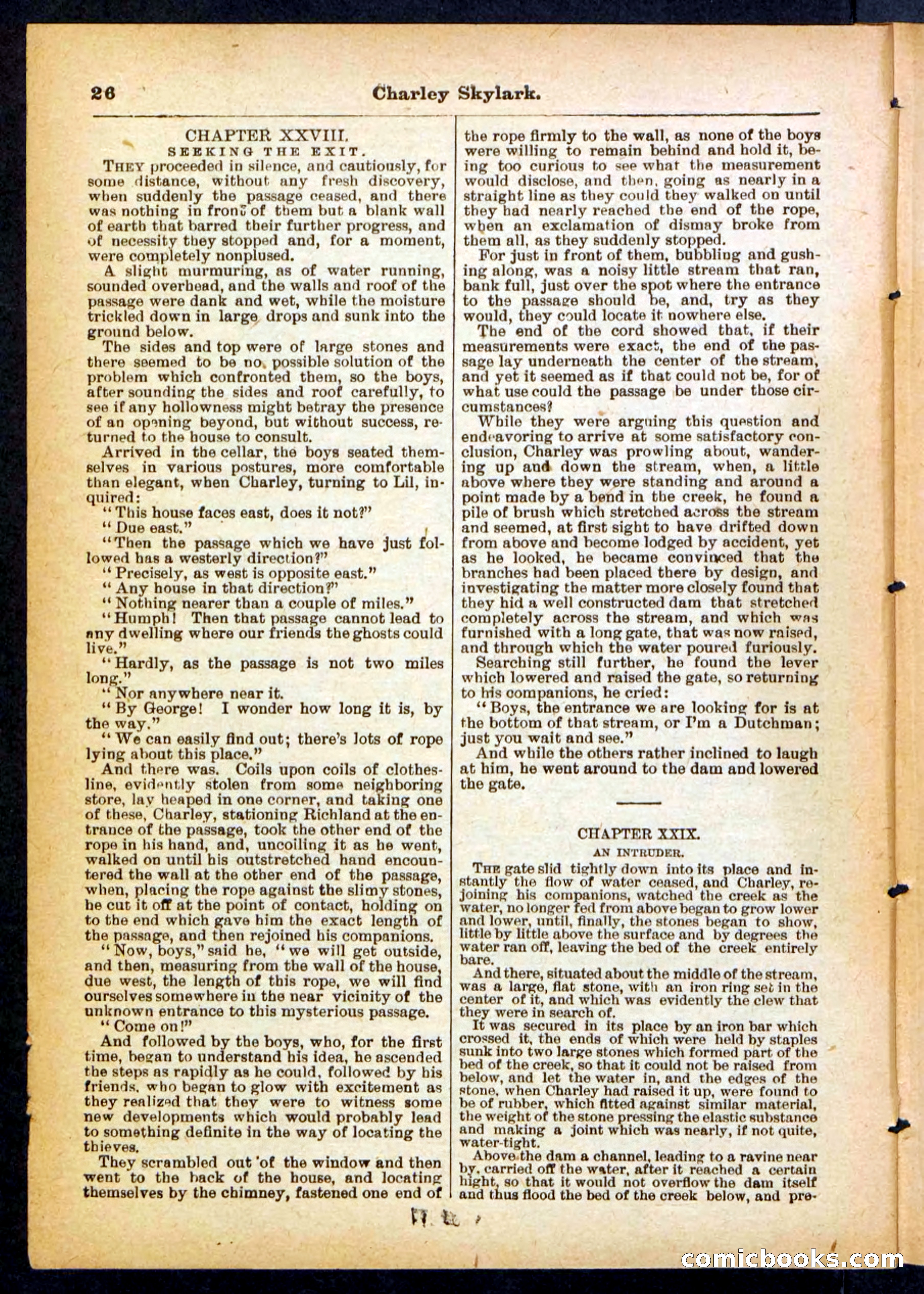 Beadle's Pocket Library No. 391 — page 26 of 32