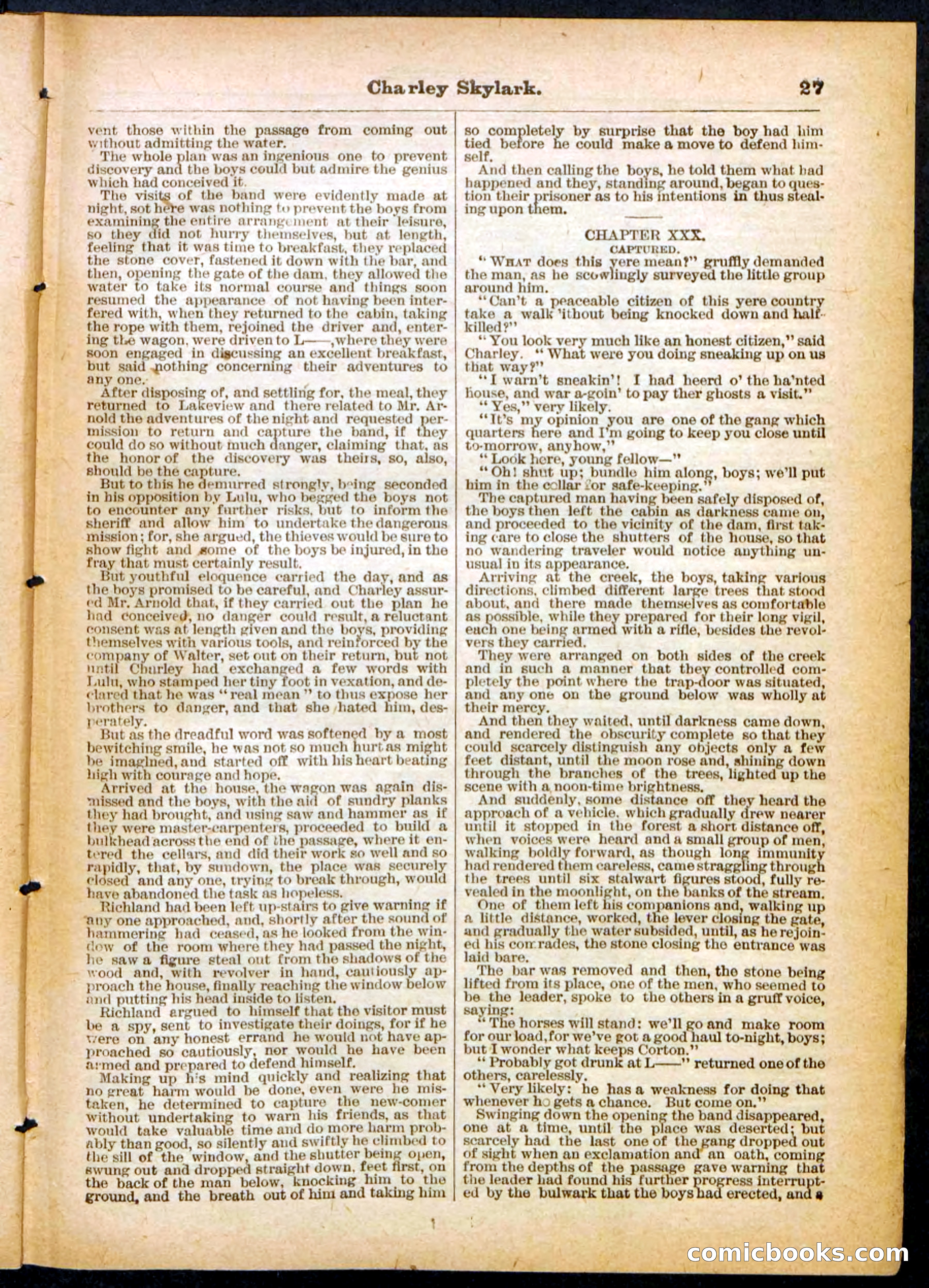 Beadle's Pocket Library No. 391 — page 27 of 32