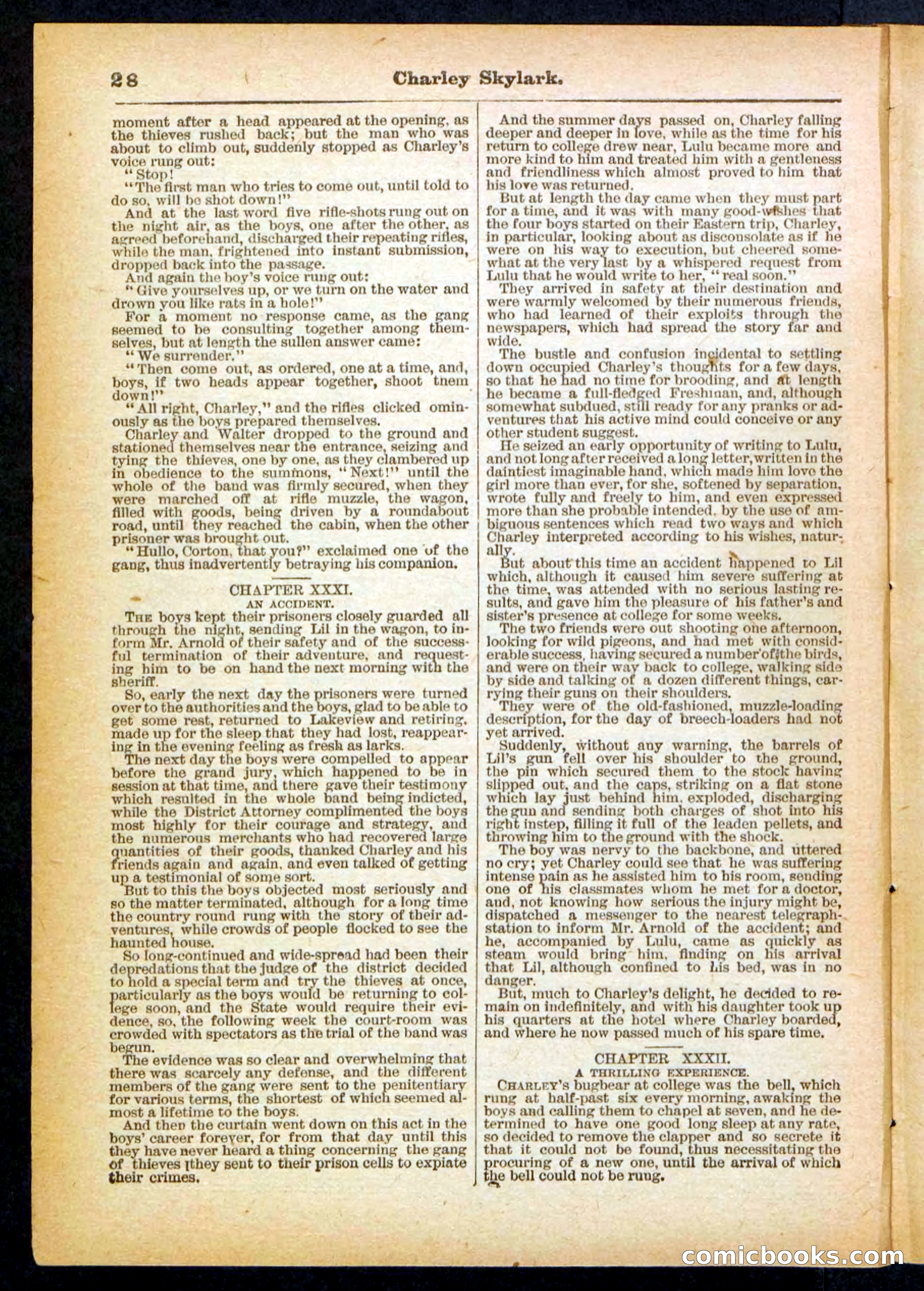 Beadle's Pocket Library No. 391 — page 28 of 32