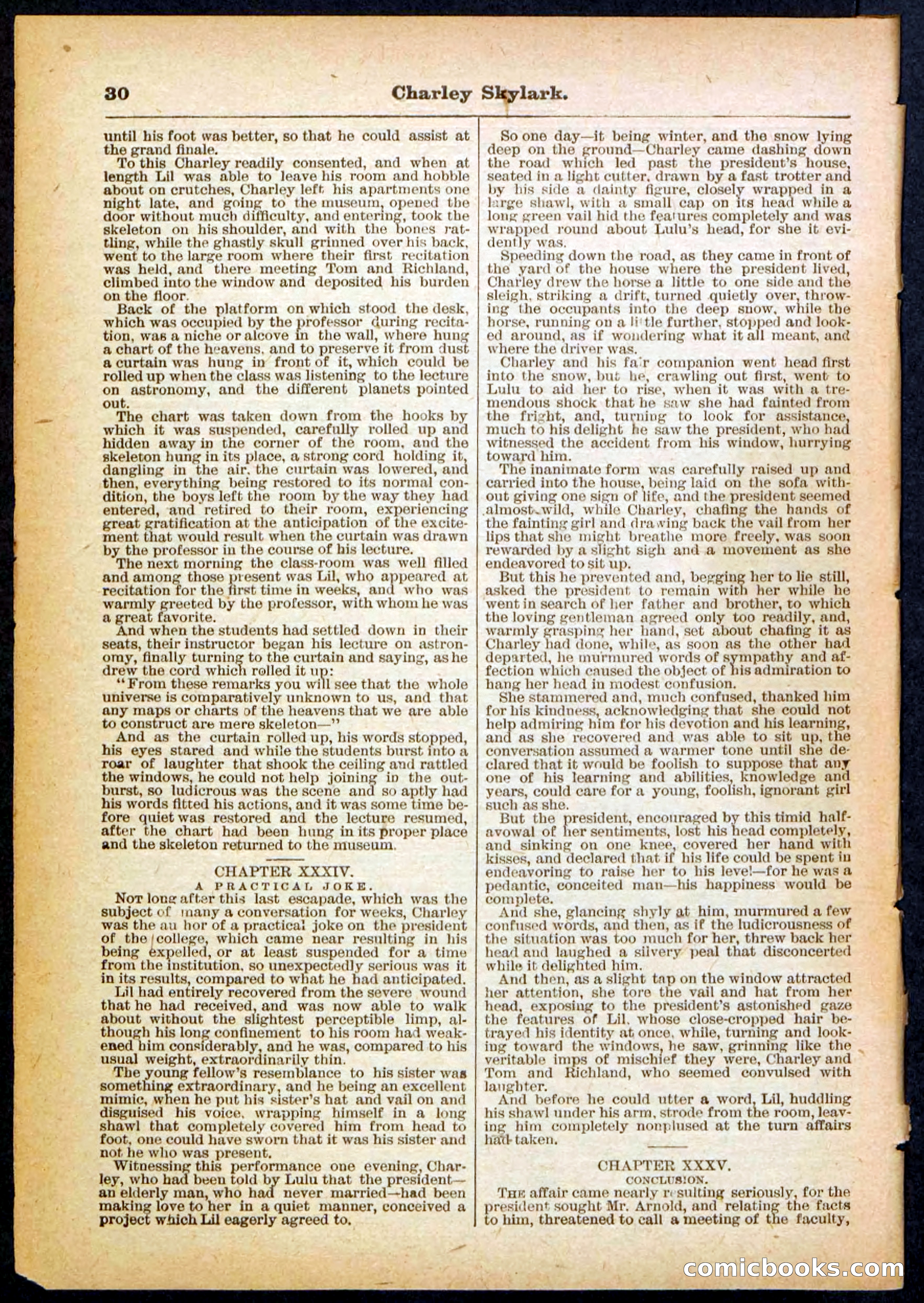 Beadle's Pocket Library No. 391 — page 30 of 32