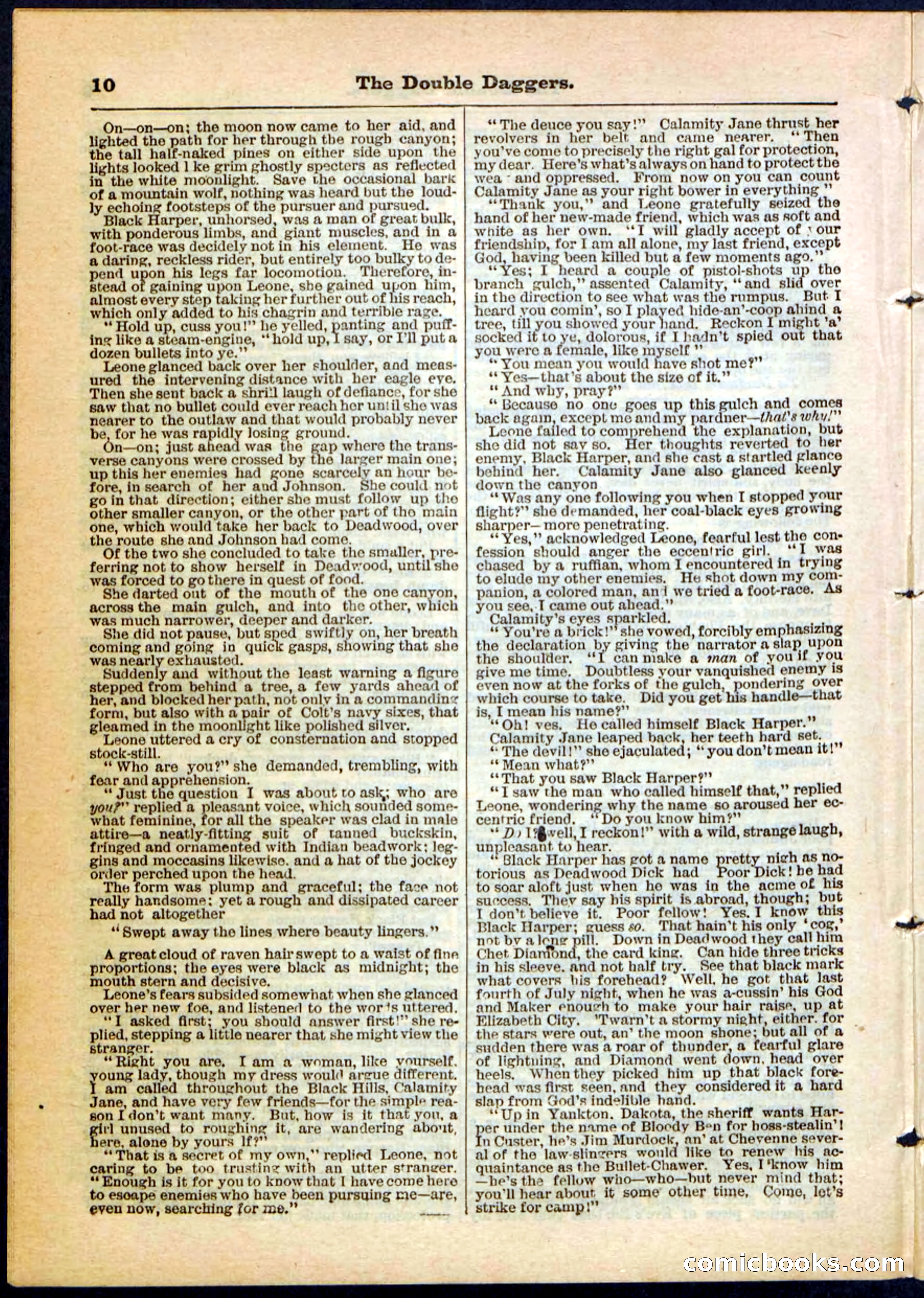 Beadle's Pocket Library No. 4 — page 10 of 32