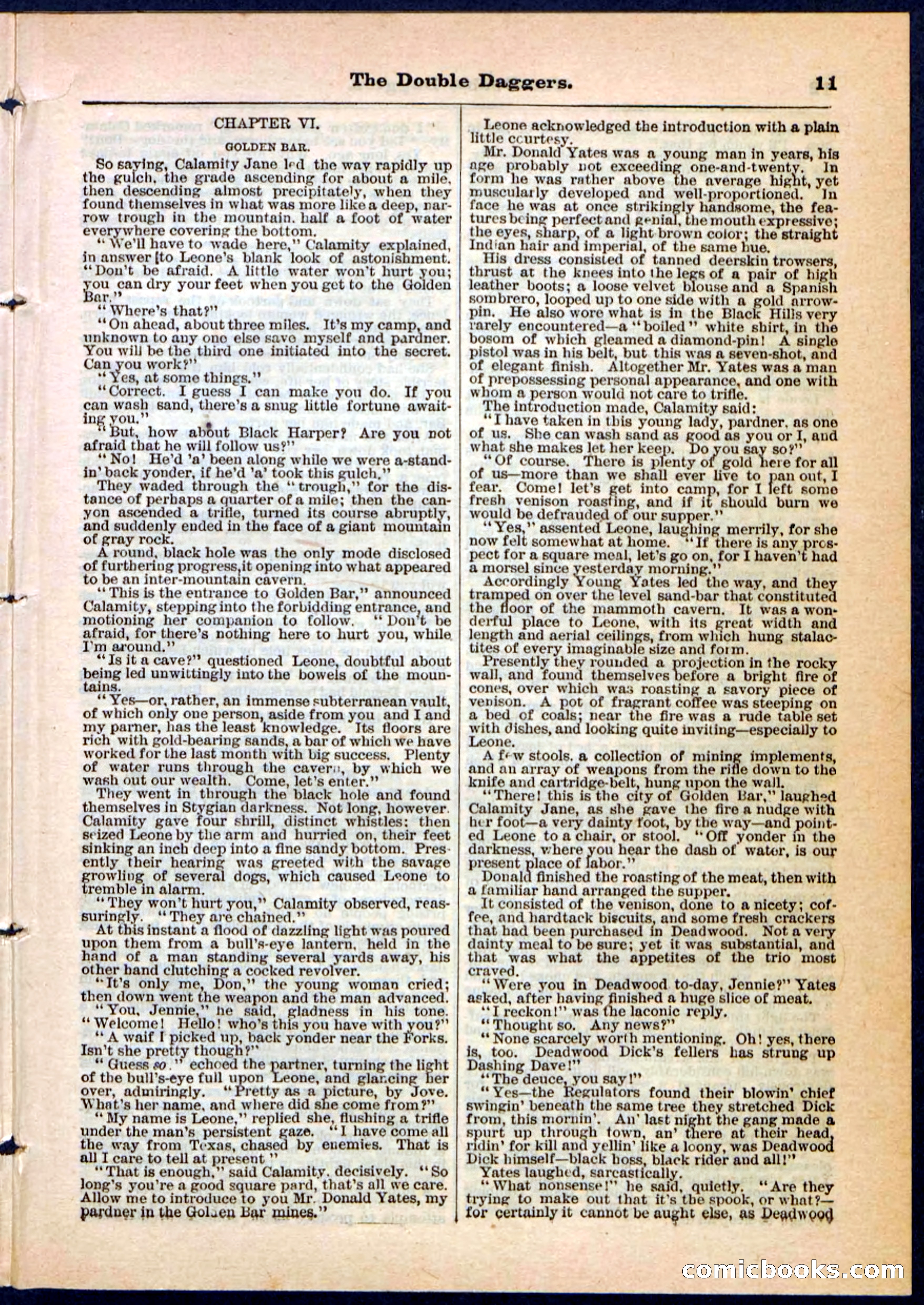 Beadle's Pocket Library No. 4 — page 11 of 32