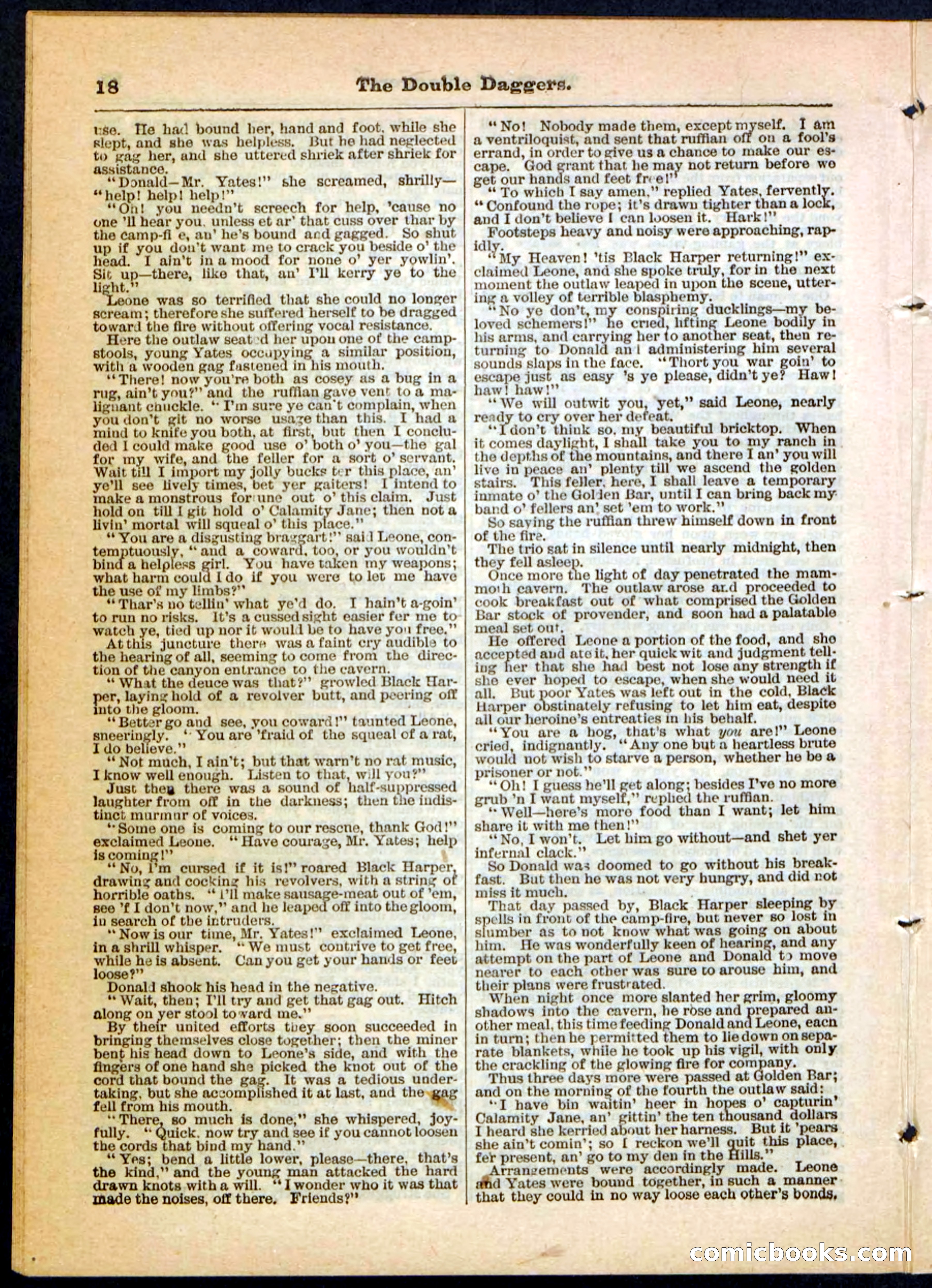 Beadle's Pocket Library No. 4 — page 18 of 32
