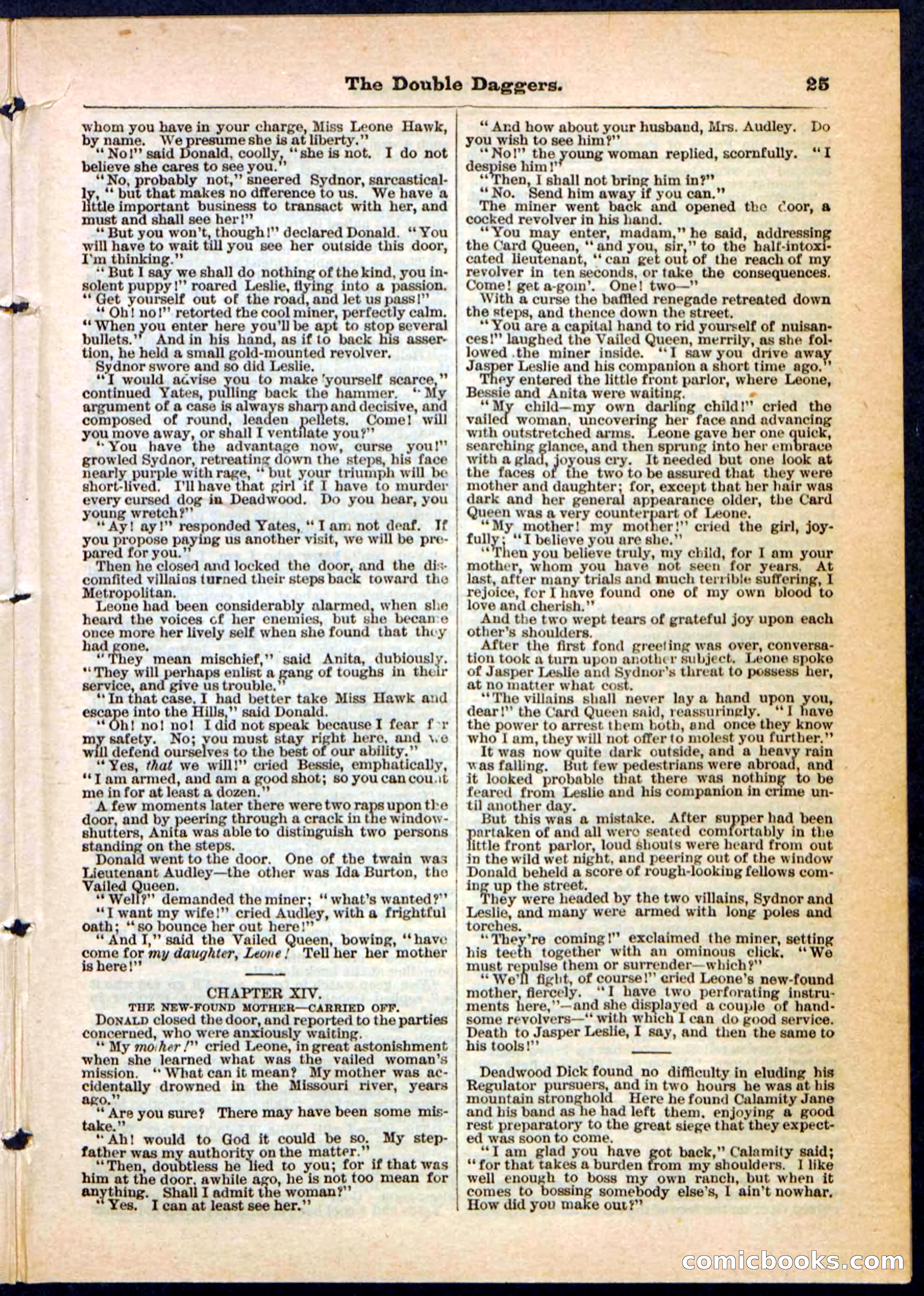 Beadle's Pocket Library No. 4 — page 25 of 32