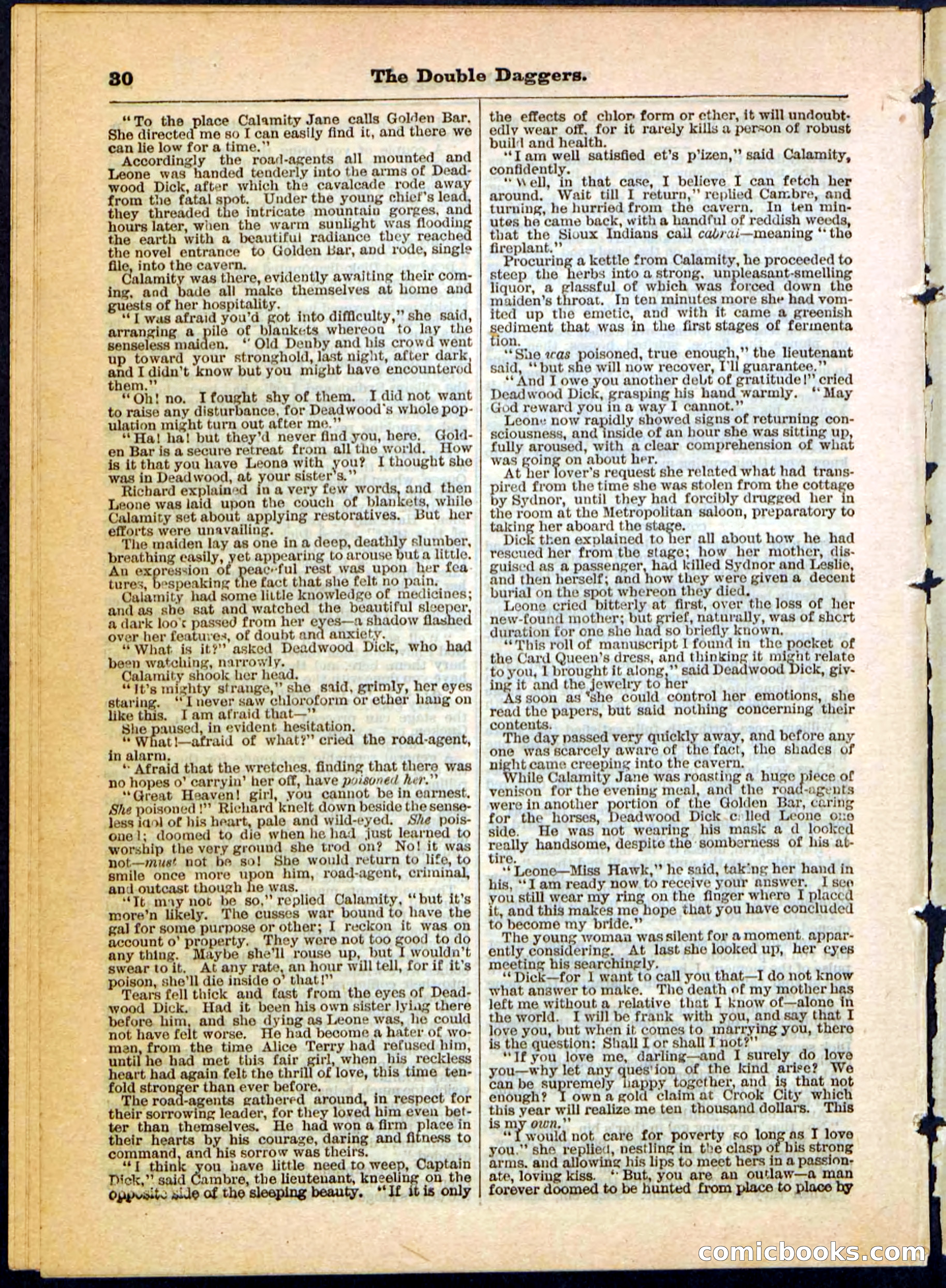 Beadle's Pocket Library No. 4 — page 30 of 32
