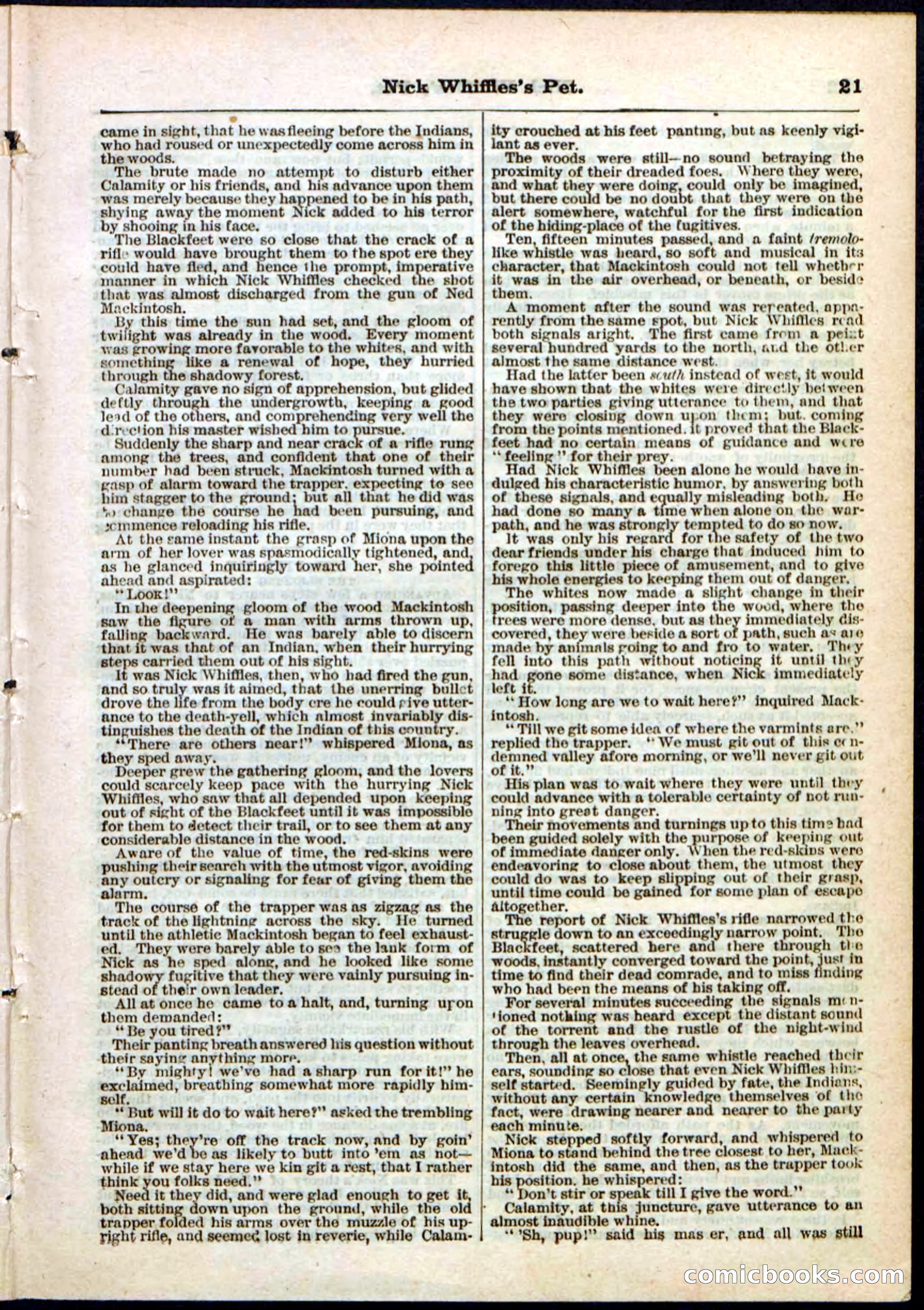 Beadle's Pocket Library, No. 40 — page 21 of 32