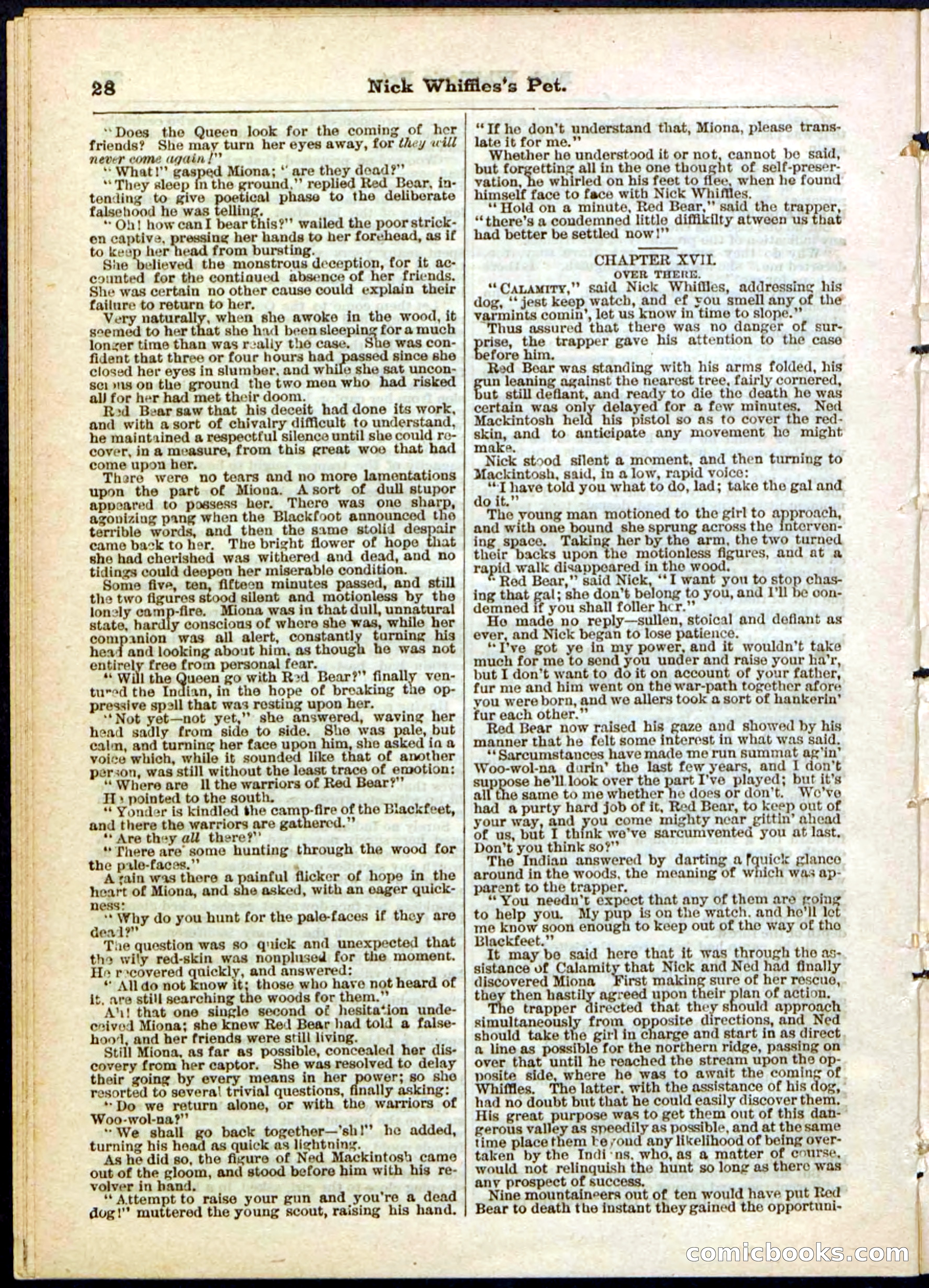 Beadle's Pocket Library, No. 40 — page 28 of 32