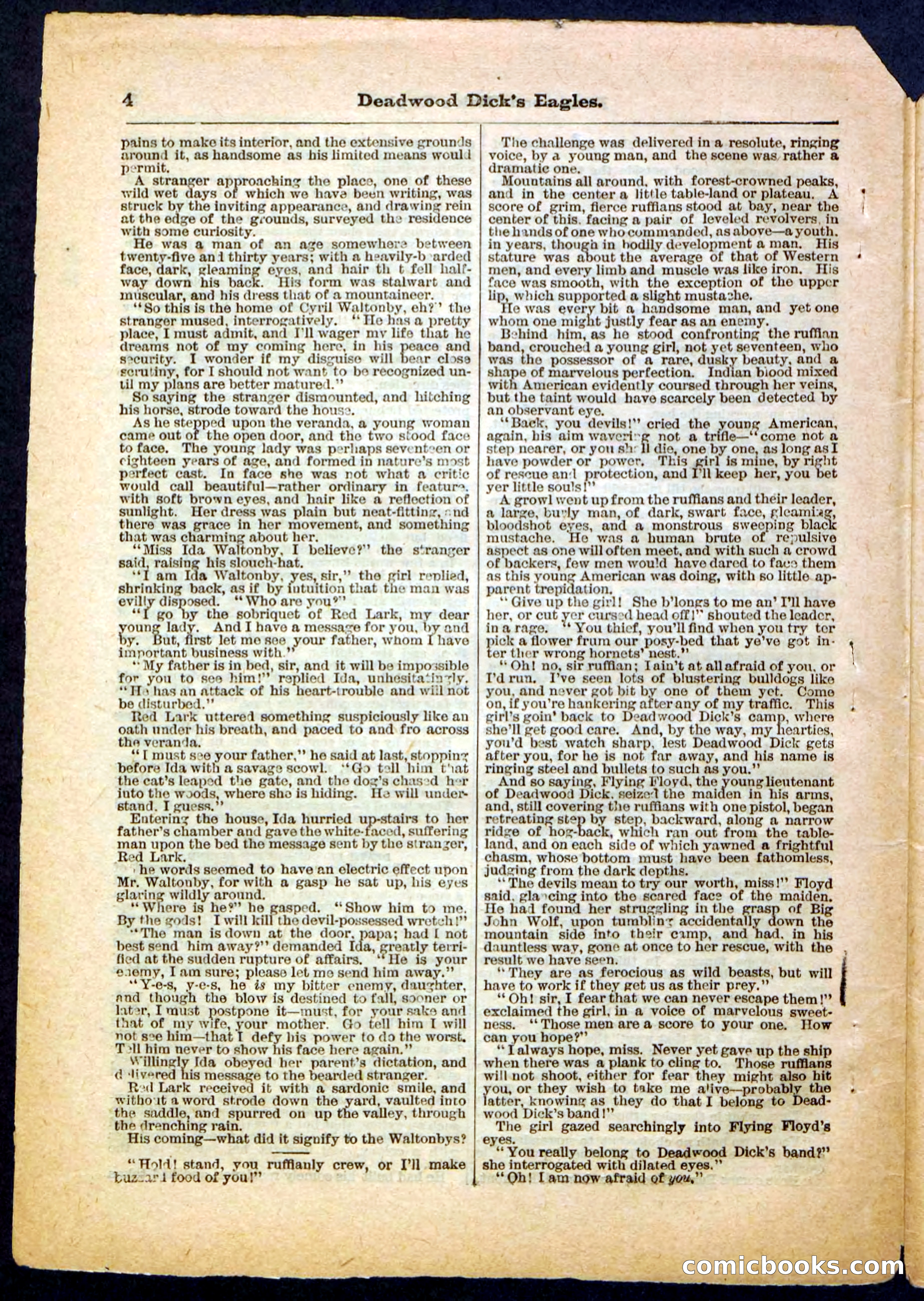 Beadle's Pocket Library, Vol. IV, No. 41 — page 4 of 32