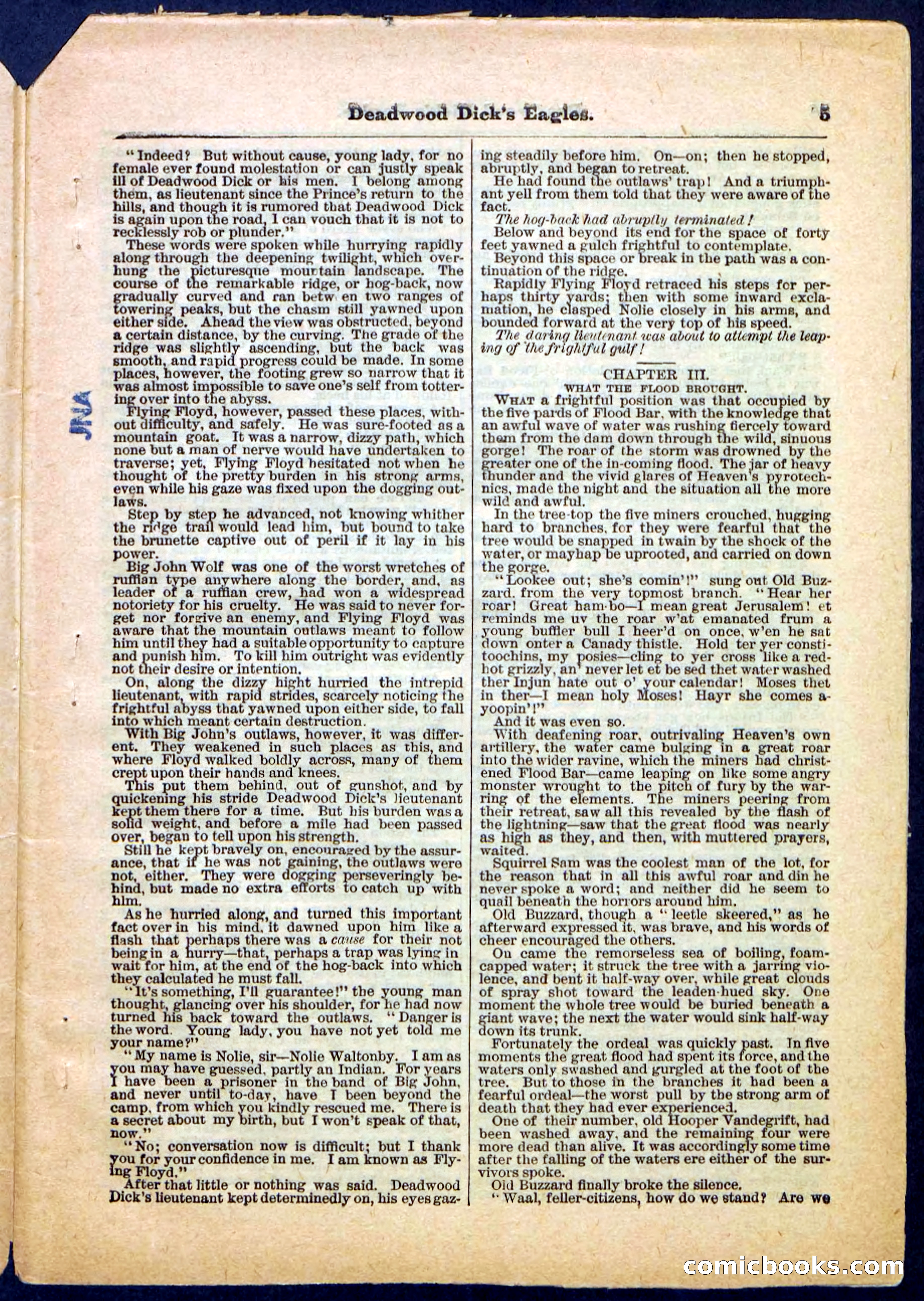 Beadle's Pocket Library, Vol. IV, No. 41 — page 5 of 32