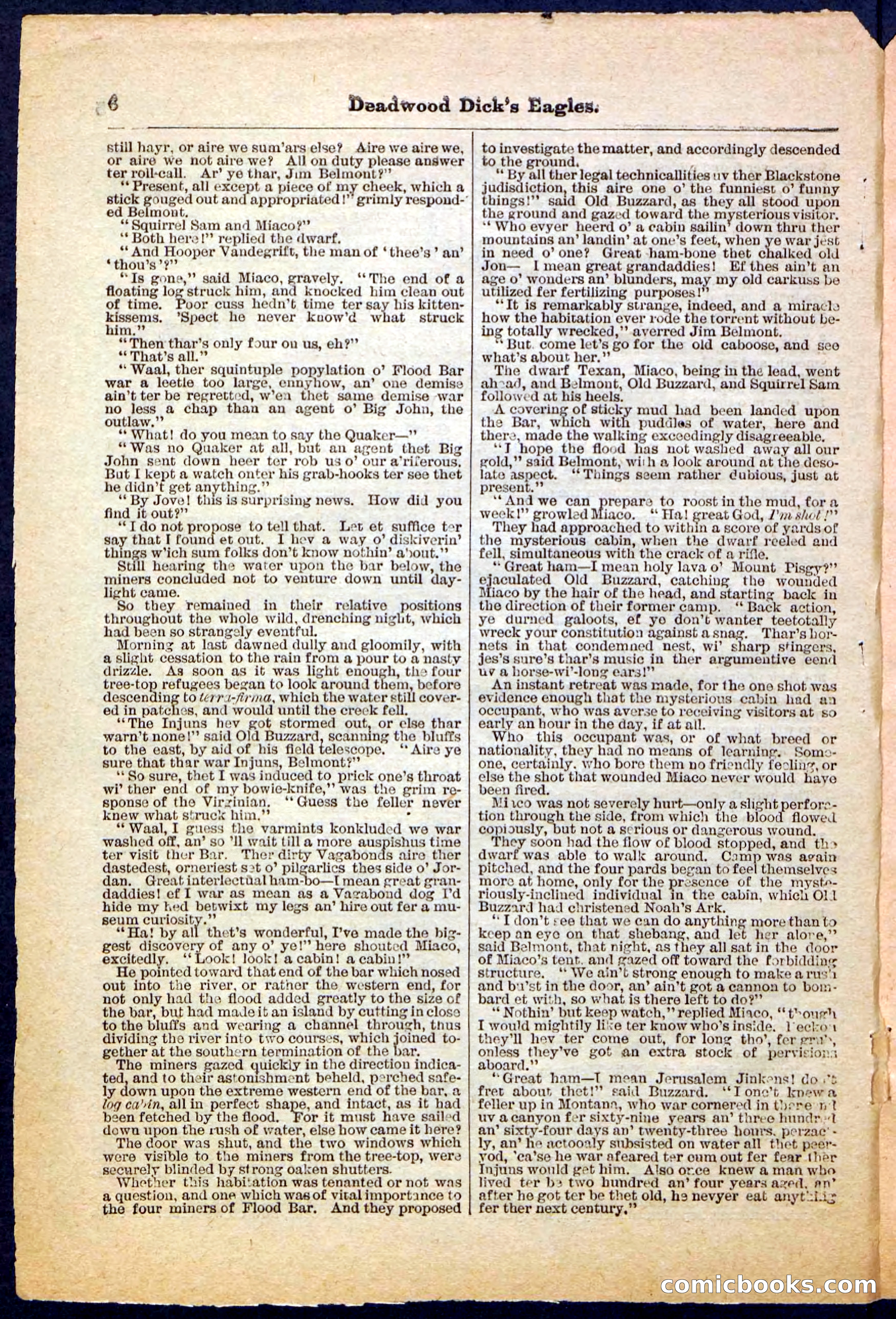Beadle's Pocket Library, Vol. IV, No. 41 — page 6 of 32