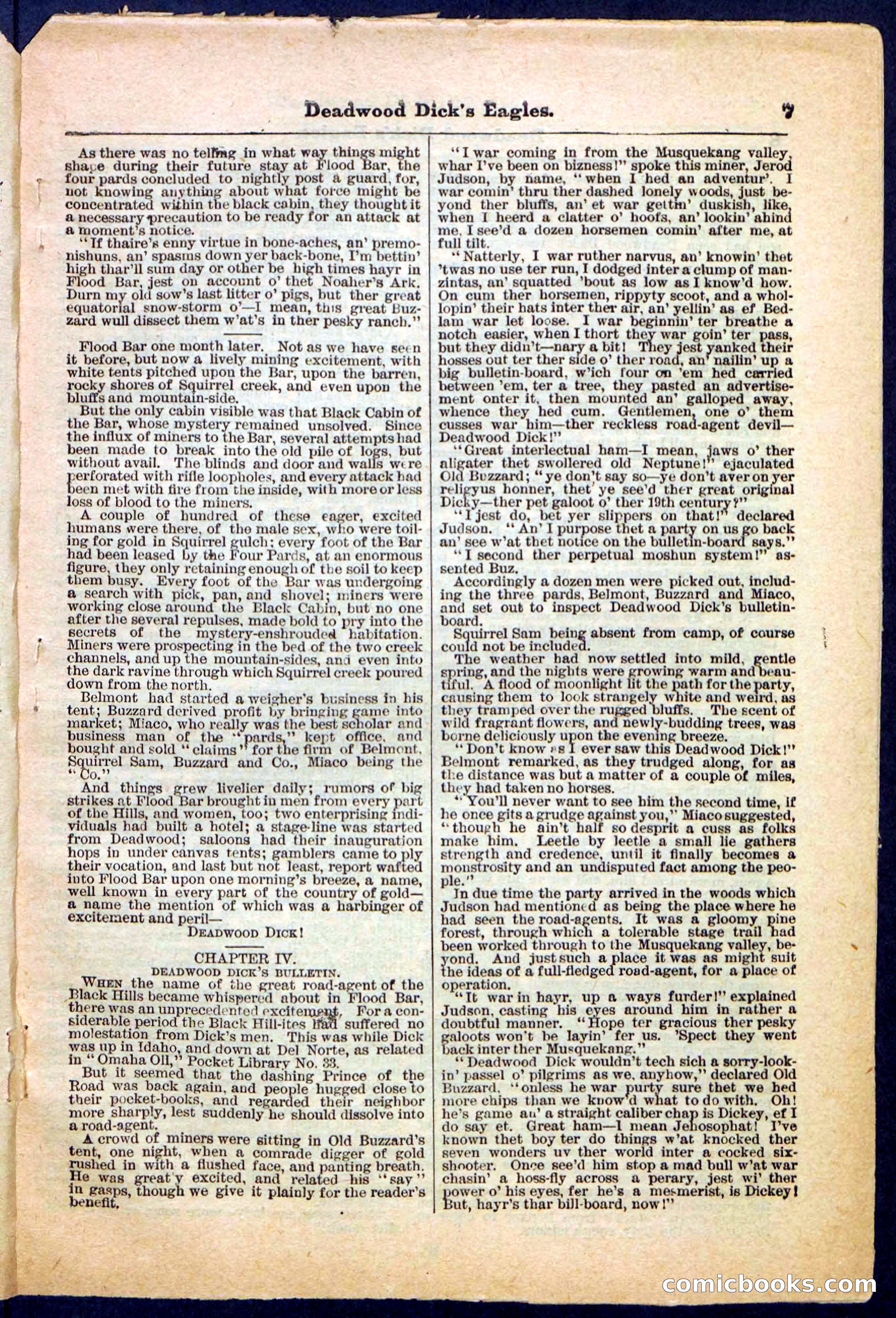 Beadle's Pocket Library, Vol. IV, No. 41 — page 7 of 32