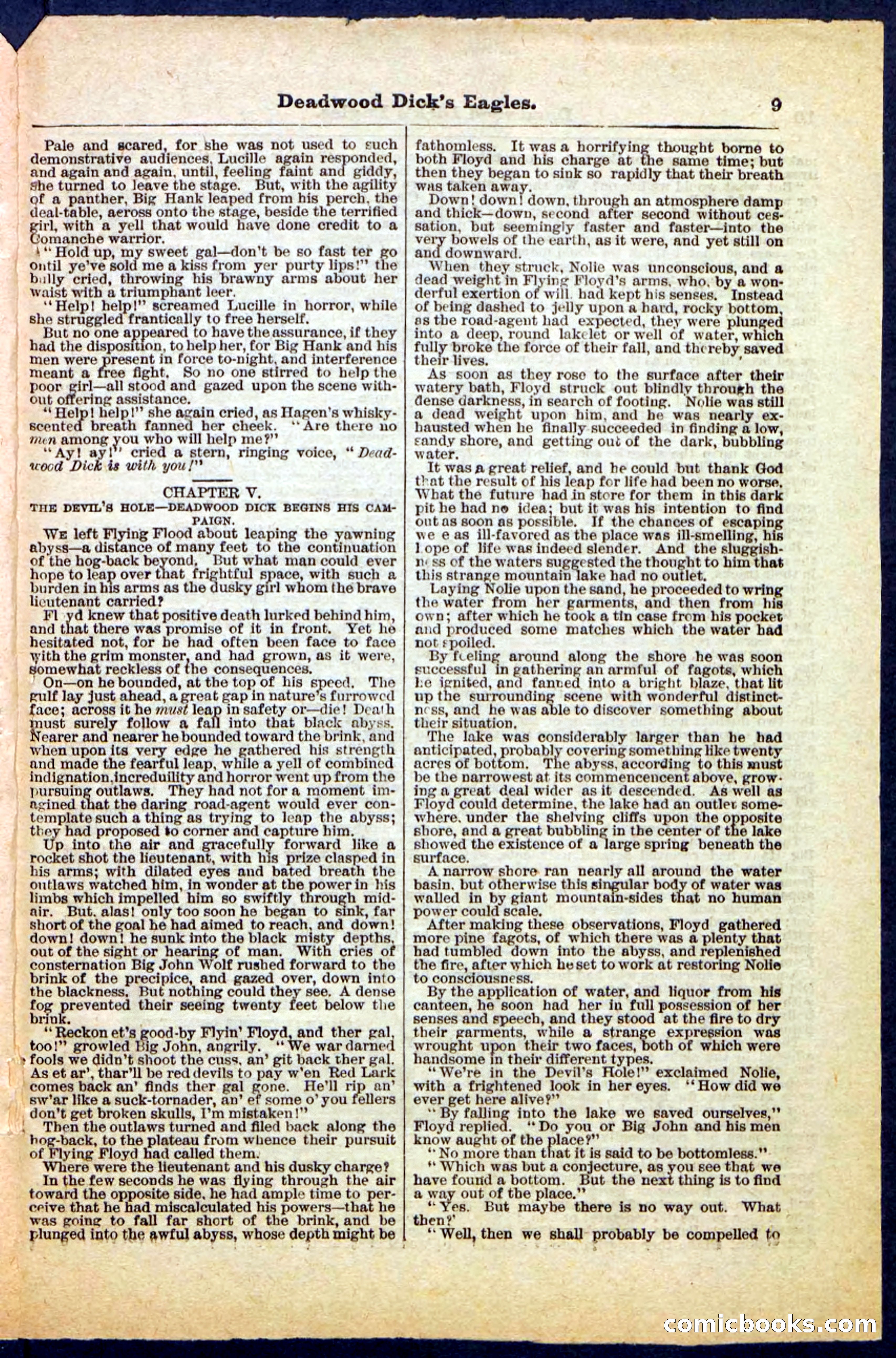Beadle's Pocket Library, Vol. IV, No. 41 — page 9 of 32