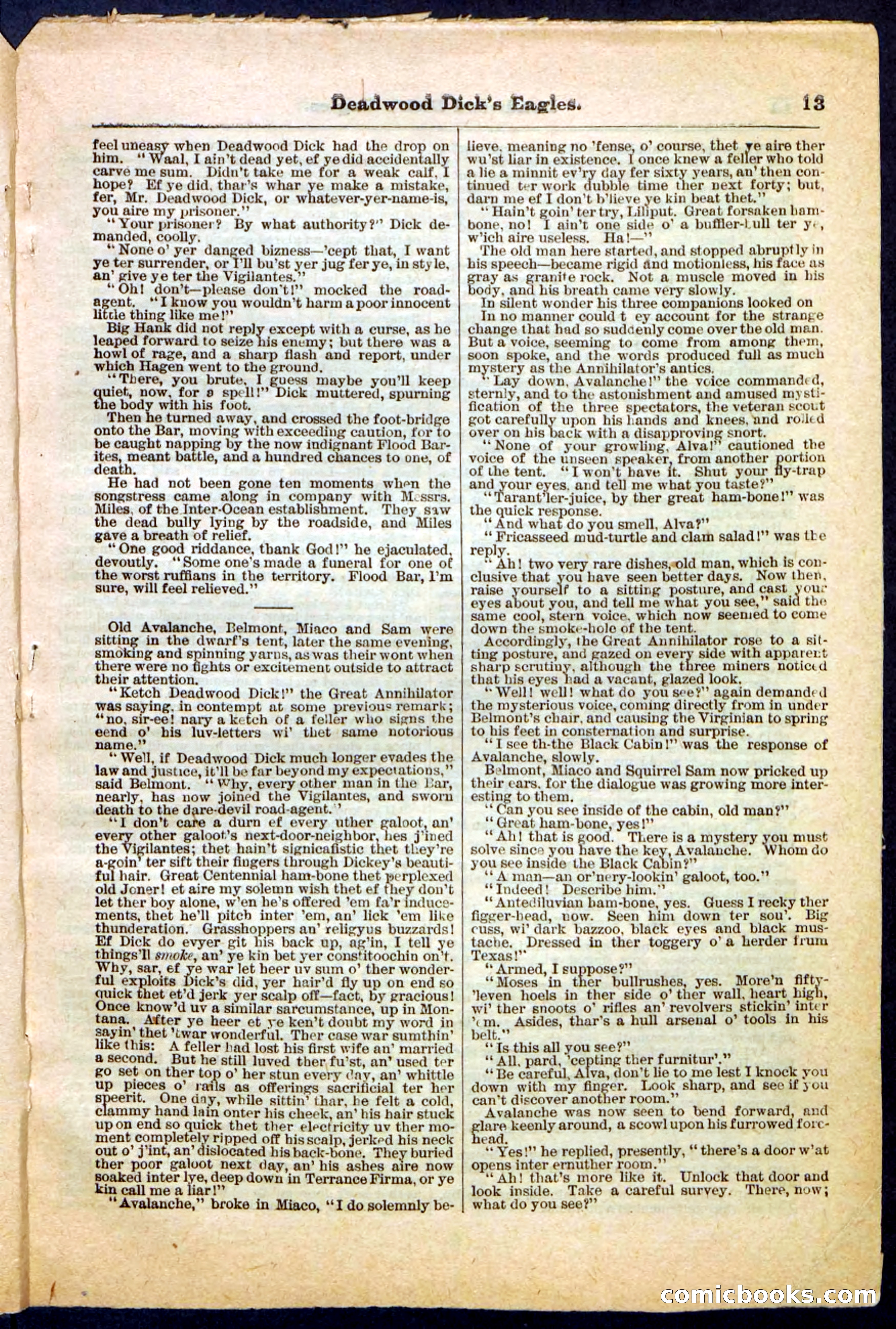 Beadle's Pocket Library, Vol. IV, No. 41 — page 13 of 32