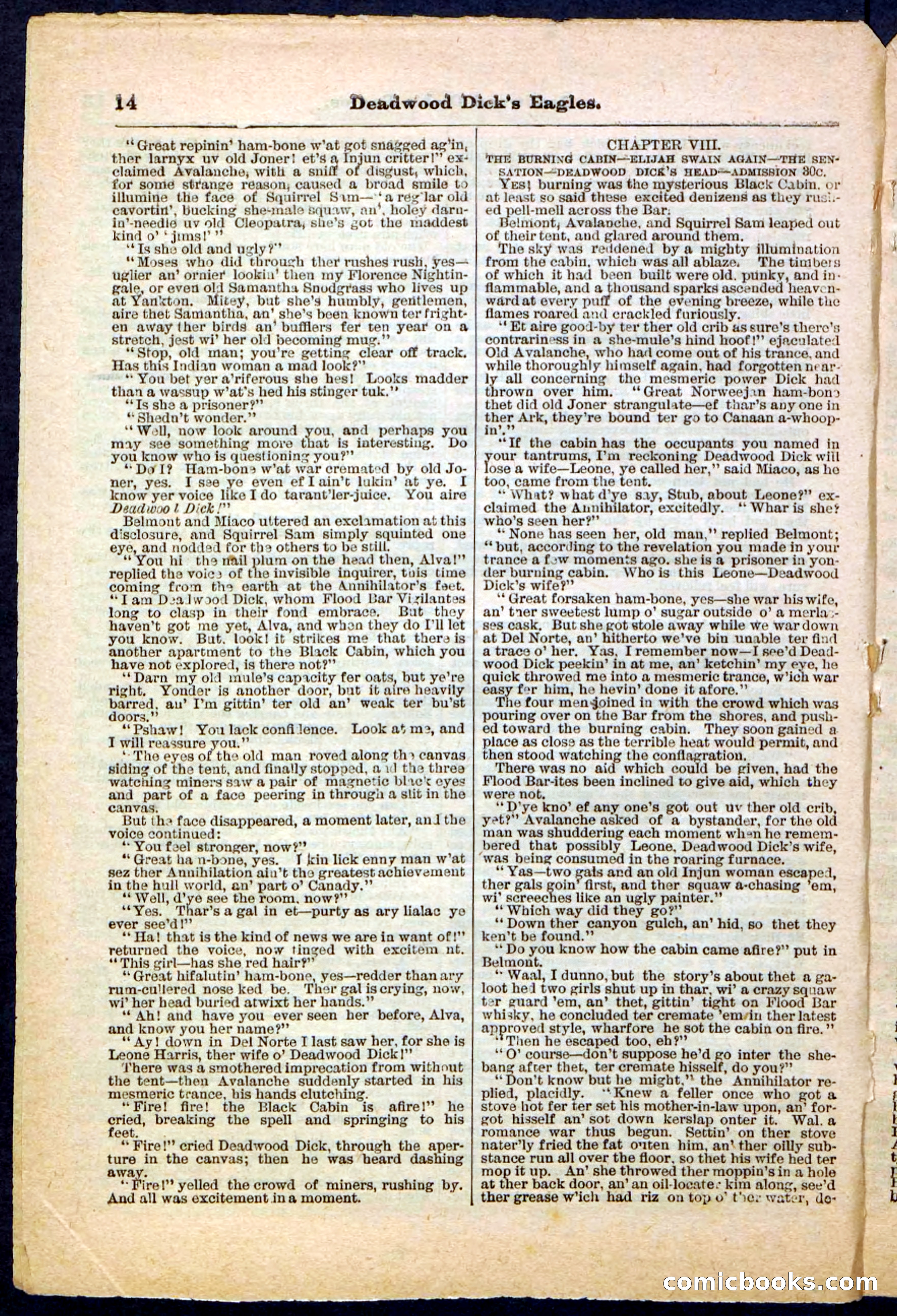 Beadle's Pocket Library, Vol. IV, No. 41 — page 14 of 32