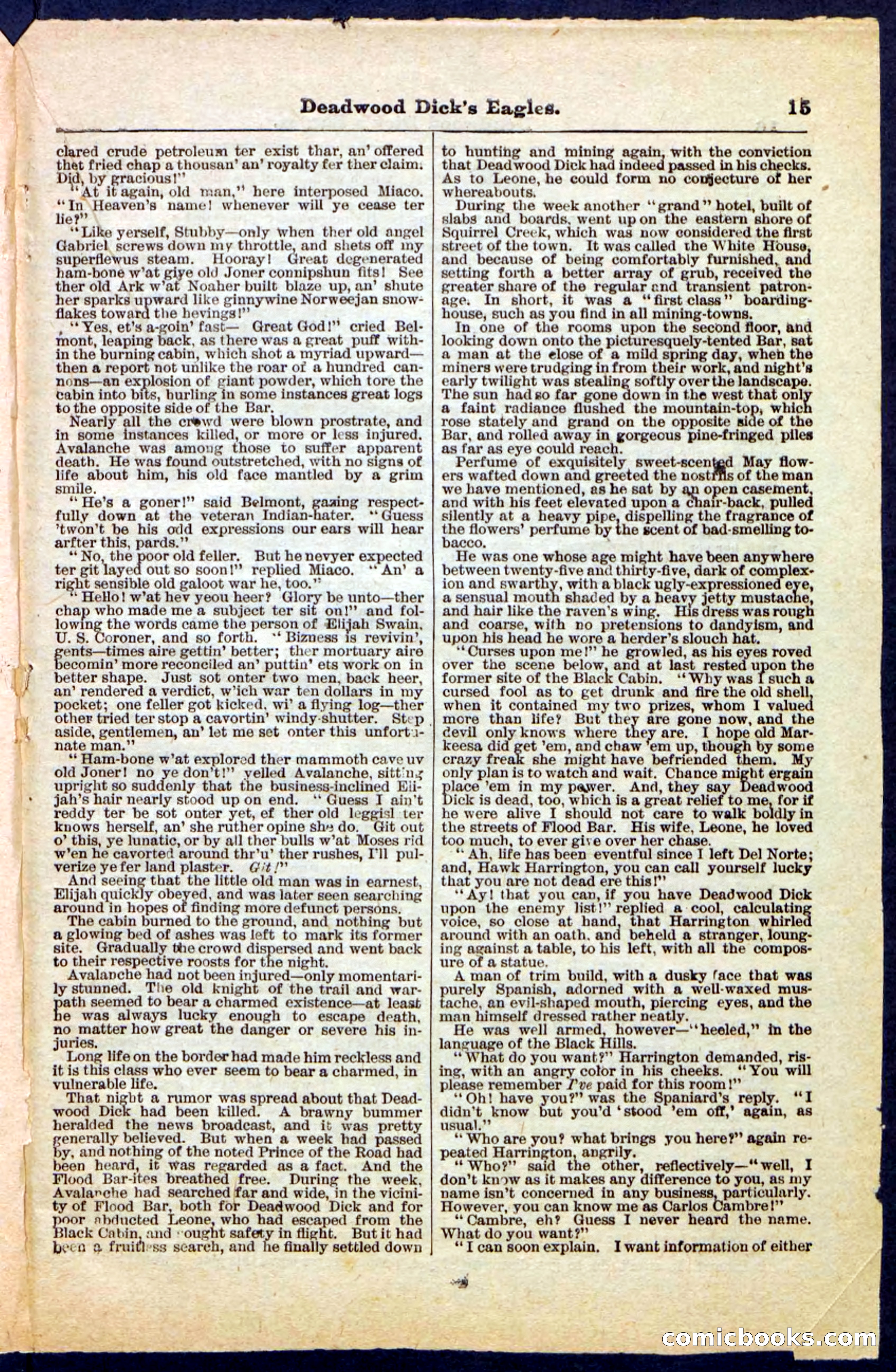 Beadle's Pocket Library, Vol. IV, No. 41 — page 15 of 32
