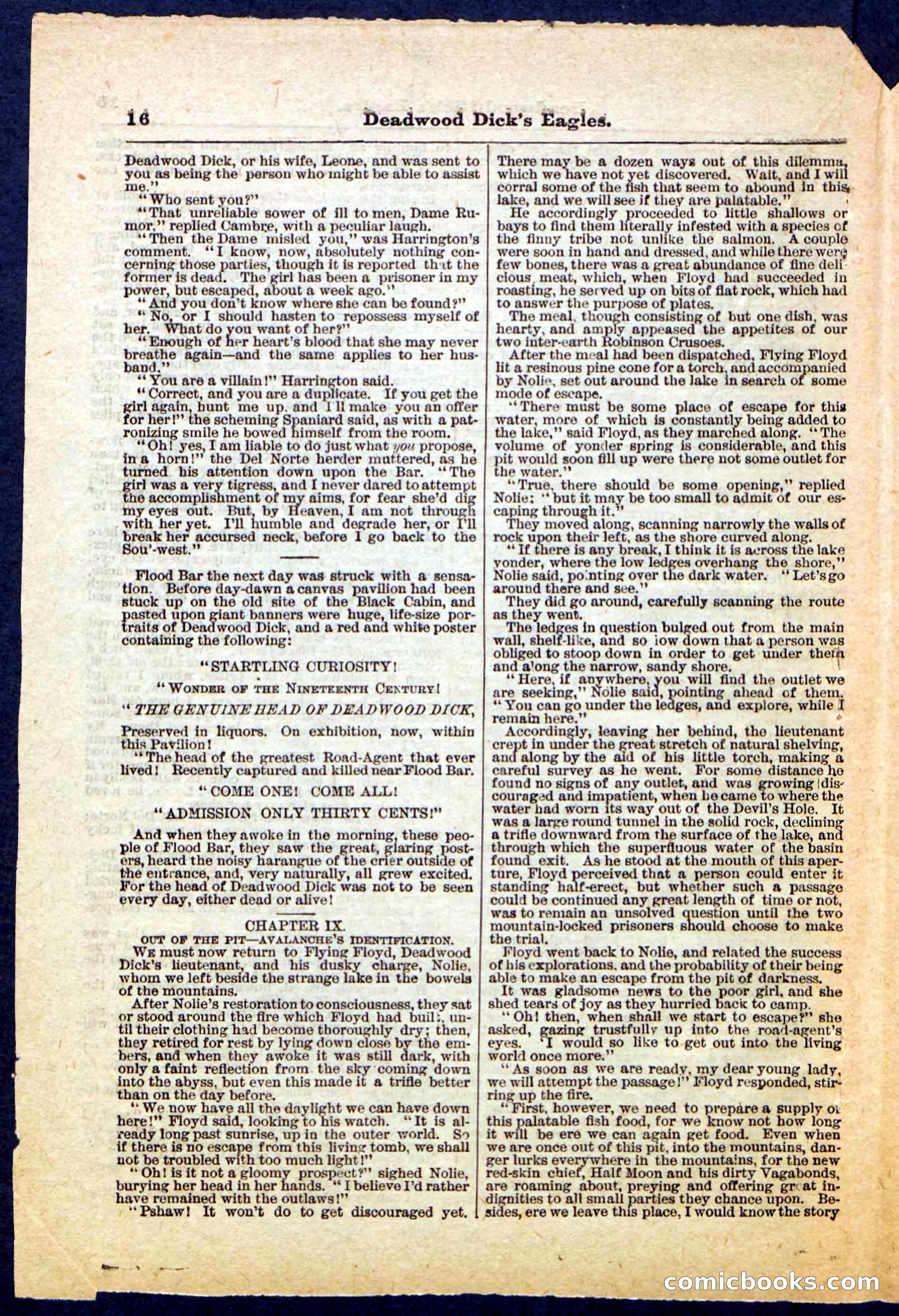 Beadle's Pocket Library, Vol. IV, No. 41 — page 16 of 32