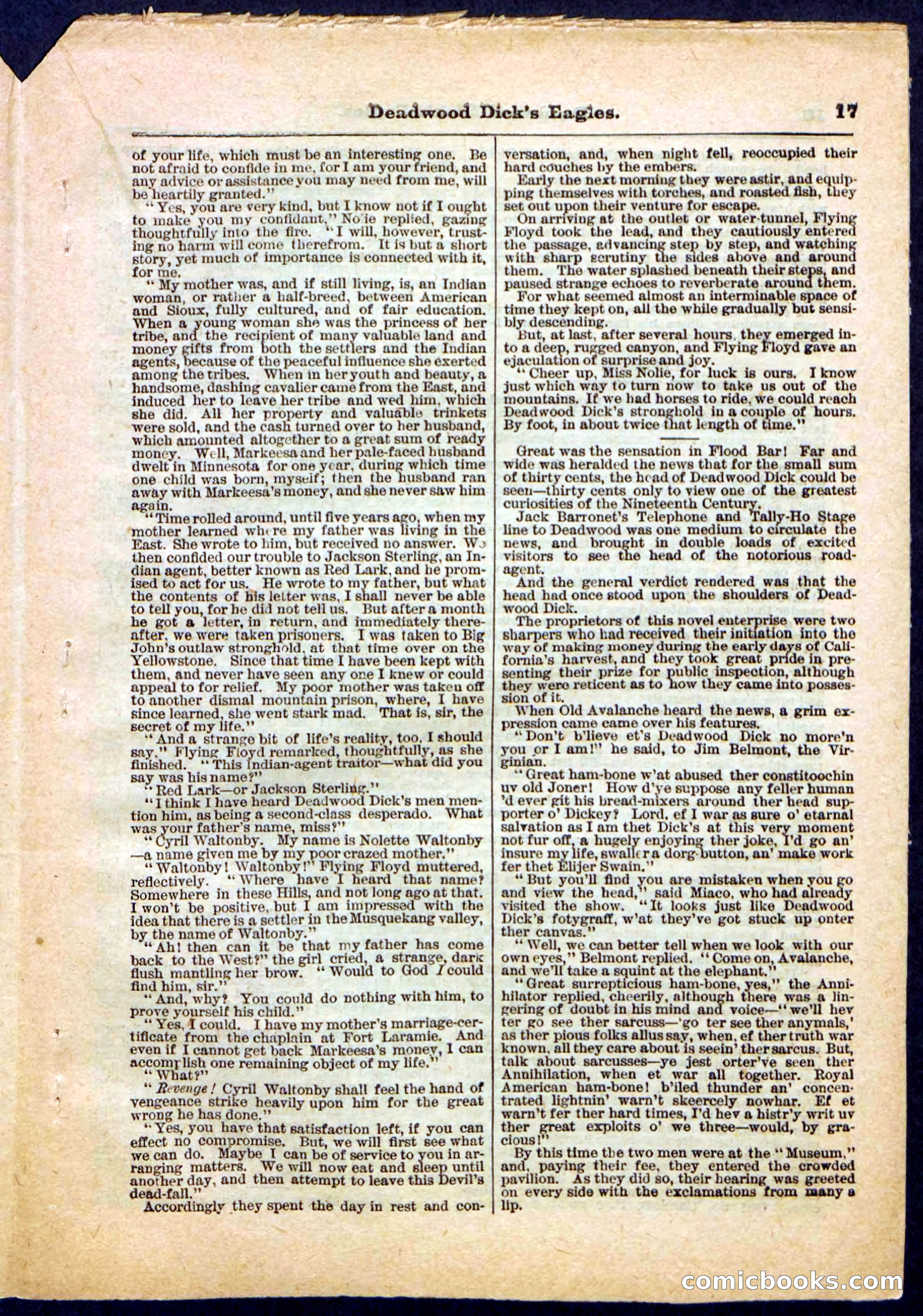 Beadle's Pocket Library, Vol. IV, No. 41 — page 17 of 32