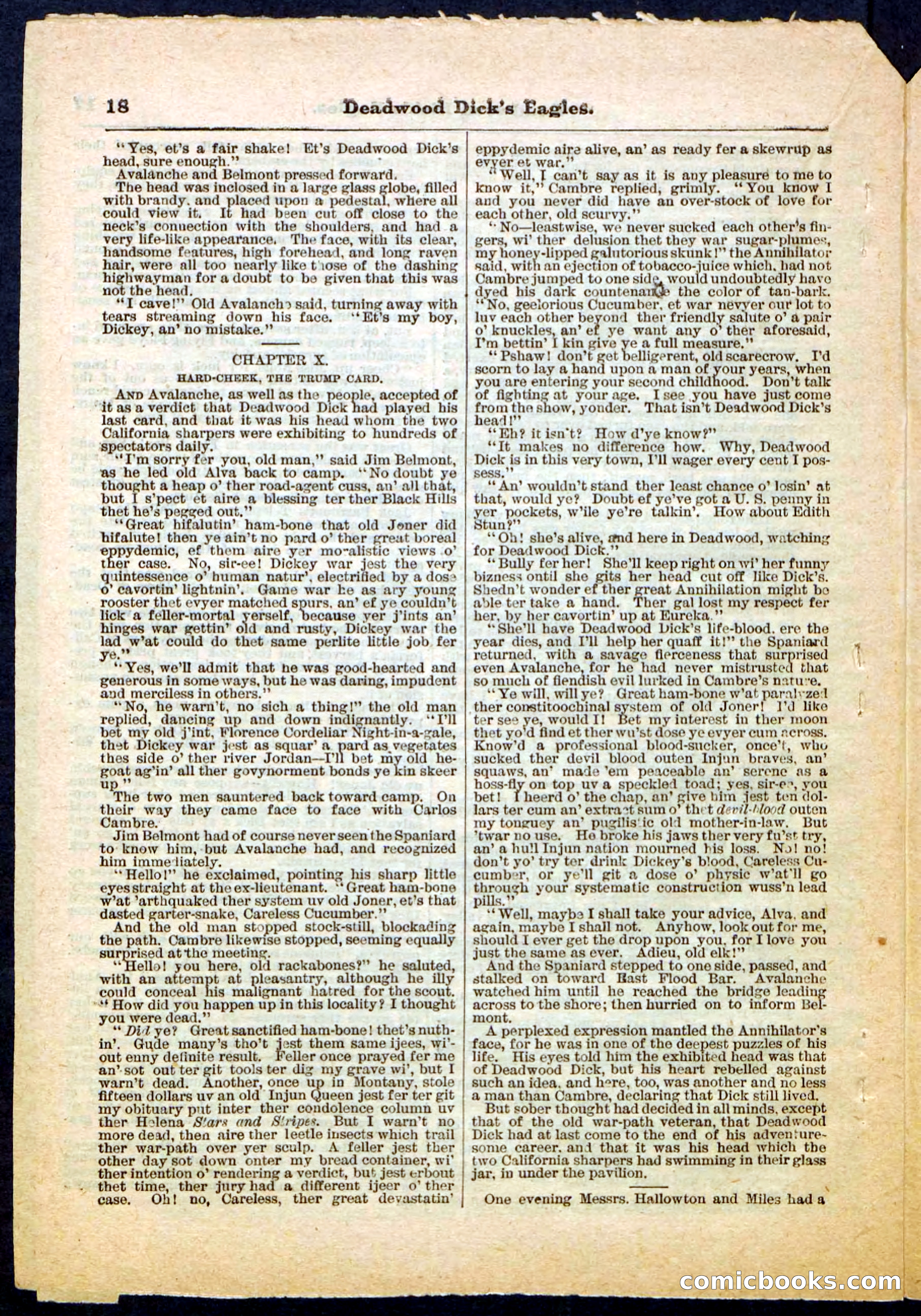 Beadle's Pocket Library, Vol. IV, No. 41 — page 18 of 32