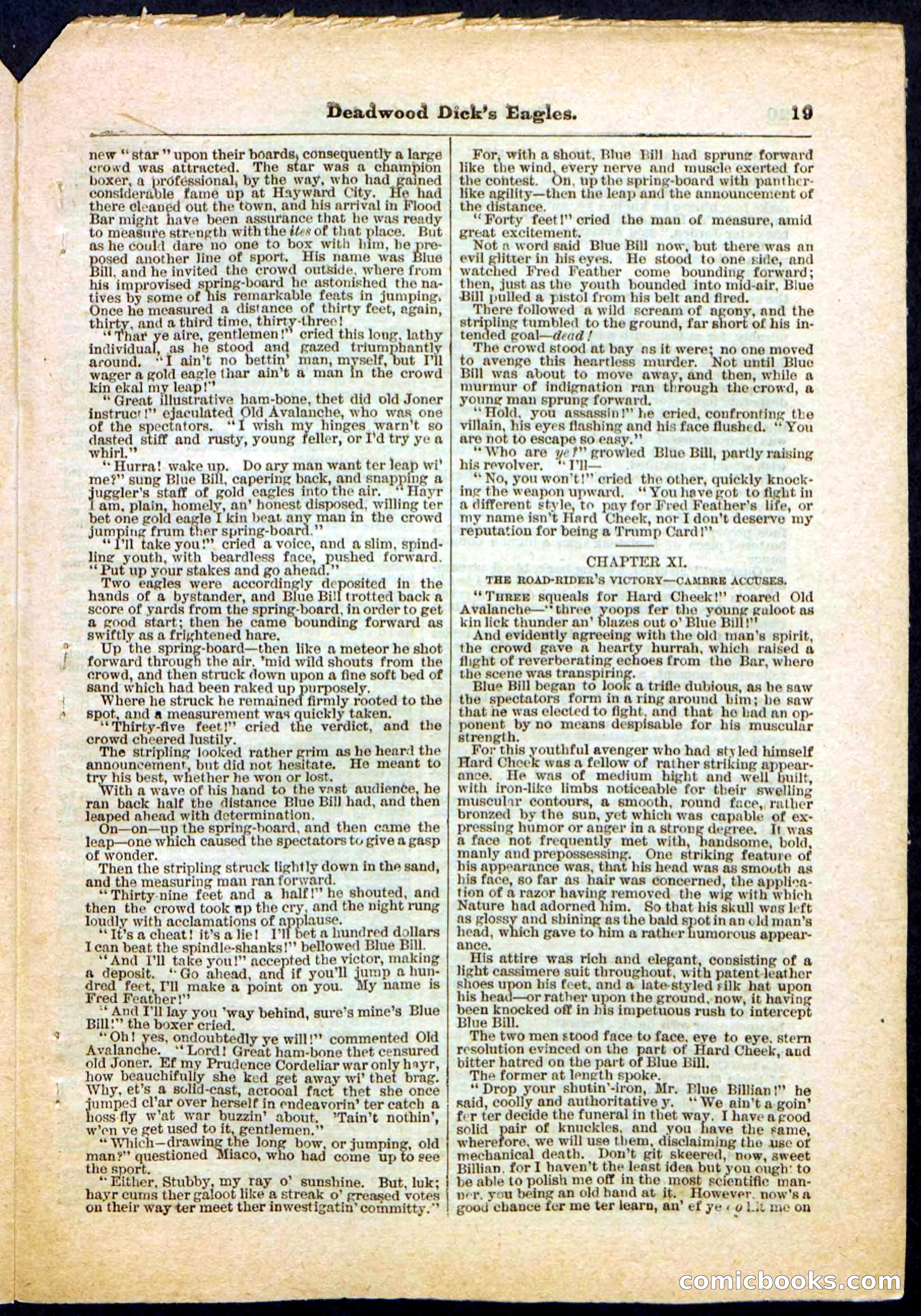 Beadle's Pocket Library, Vol. IV, No. 41 — page 19 of 32