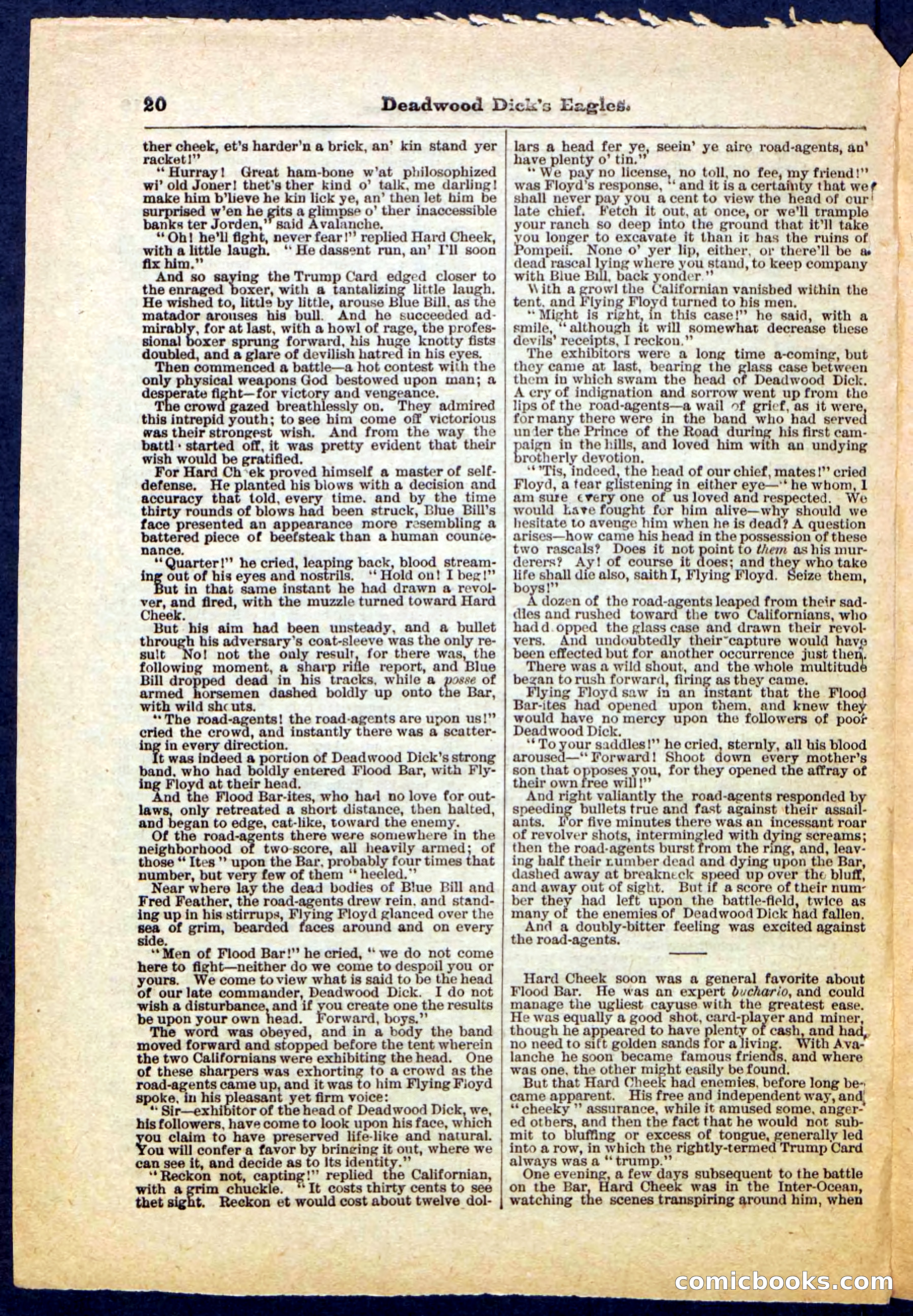 Beadle's Pocket Library, Vol. IV, No. 41 — page 20 of 32