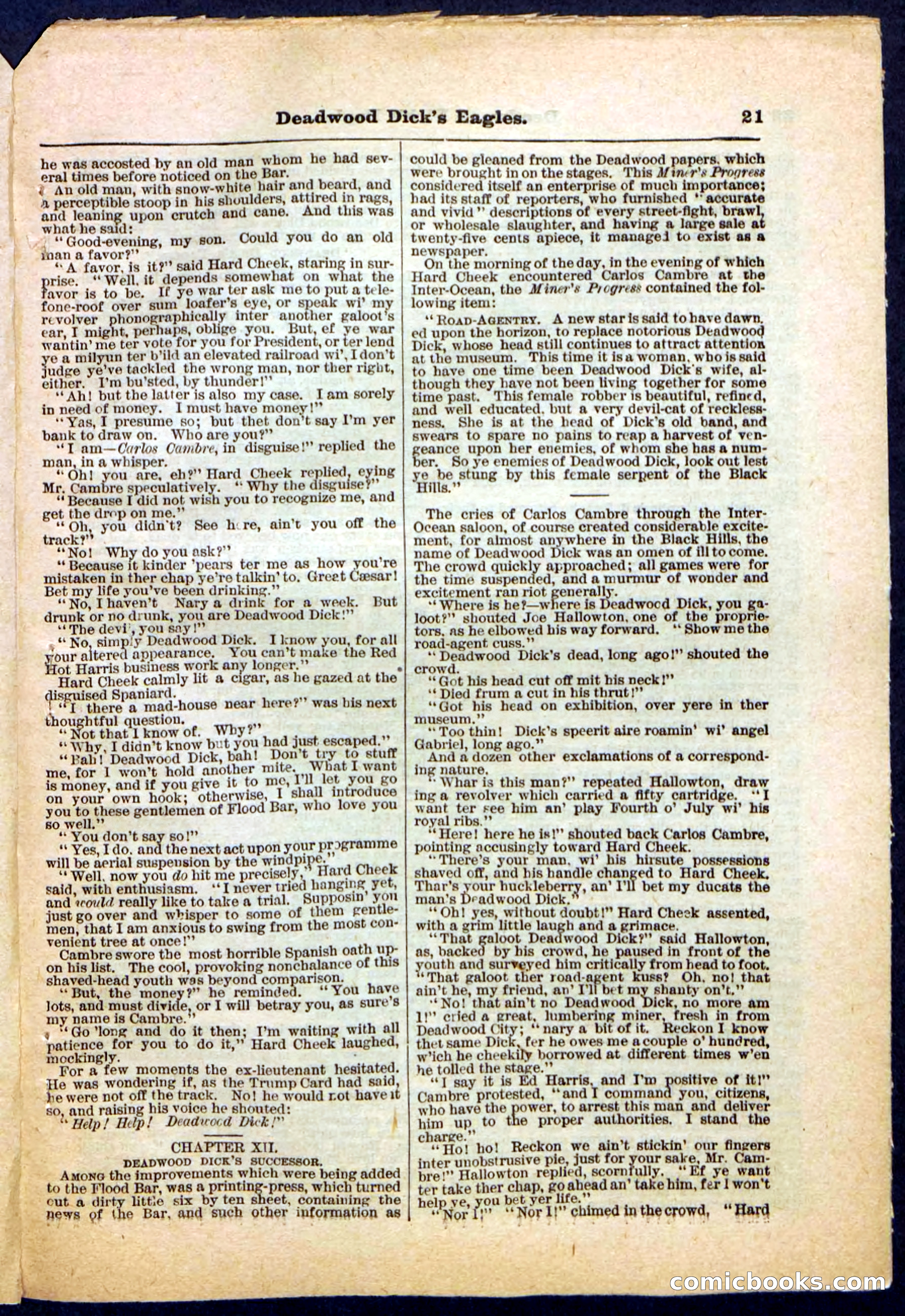 Beadle's Pocket Library, Vol. IV, No. 41 — page 21 of 32