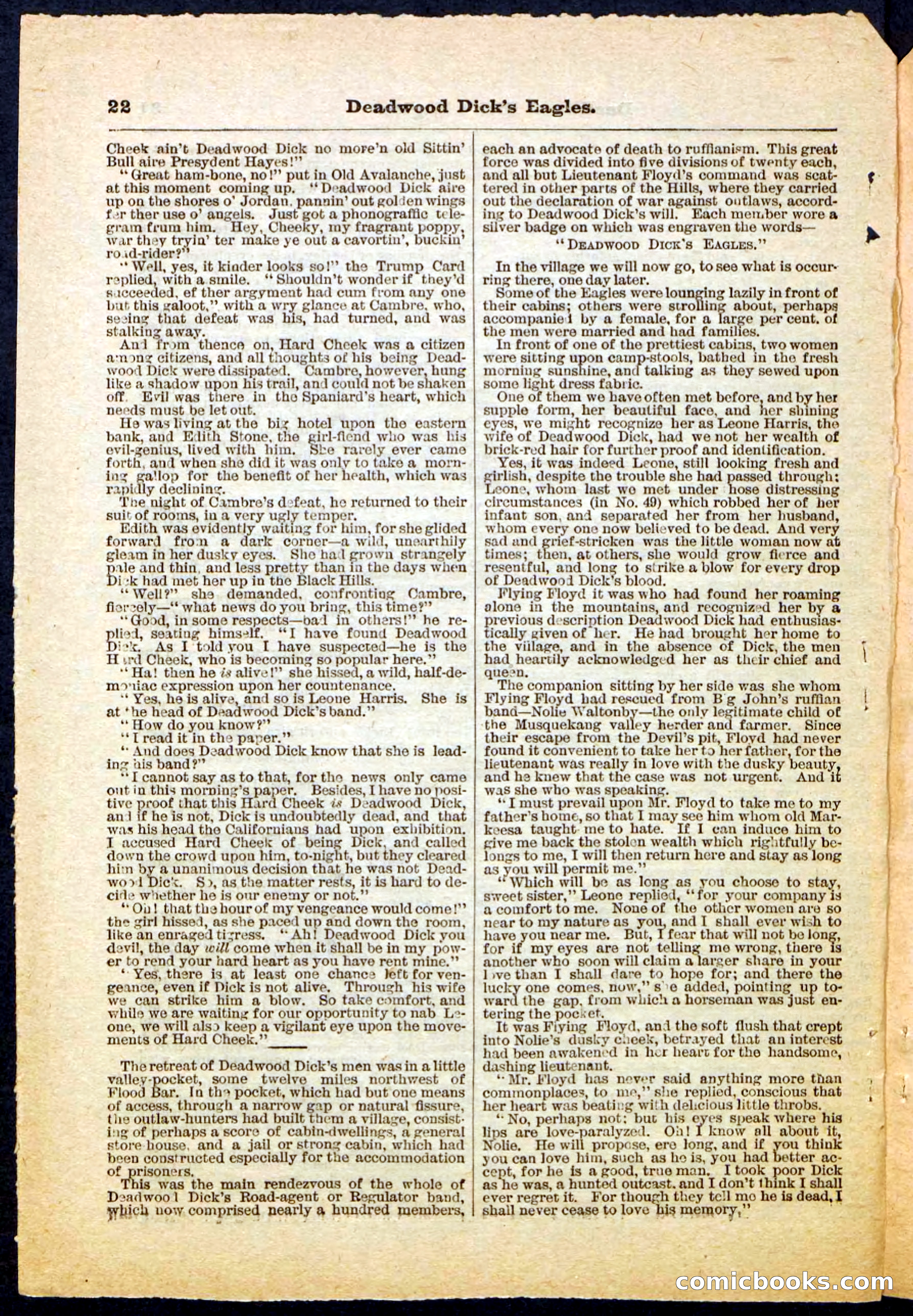 Beadle's Pocket Library, Vol. IV, No. 41 — page 22 of 32