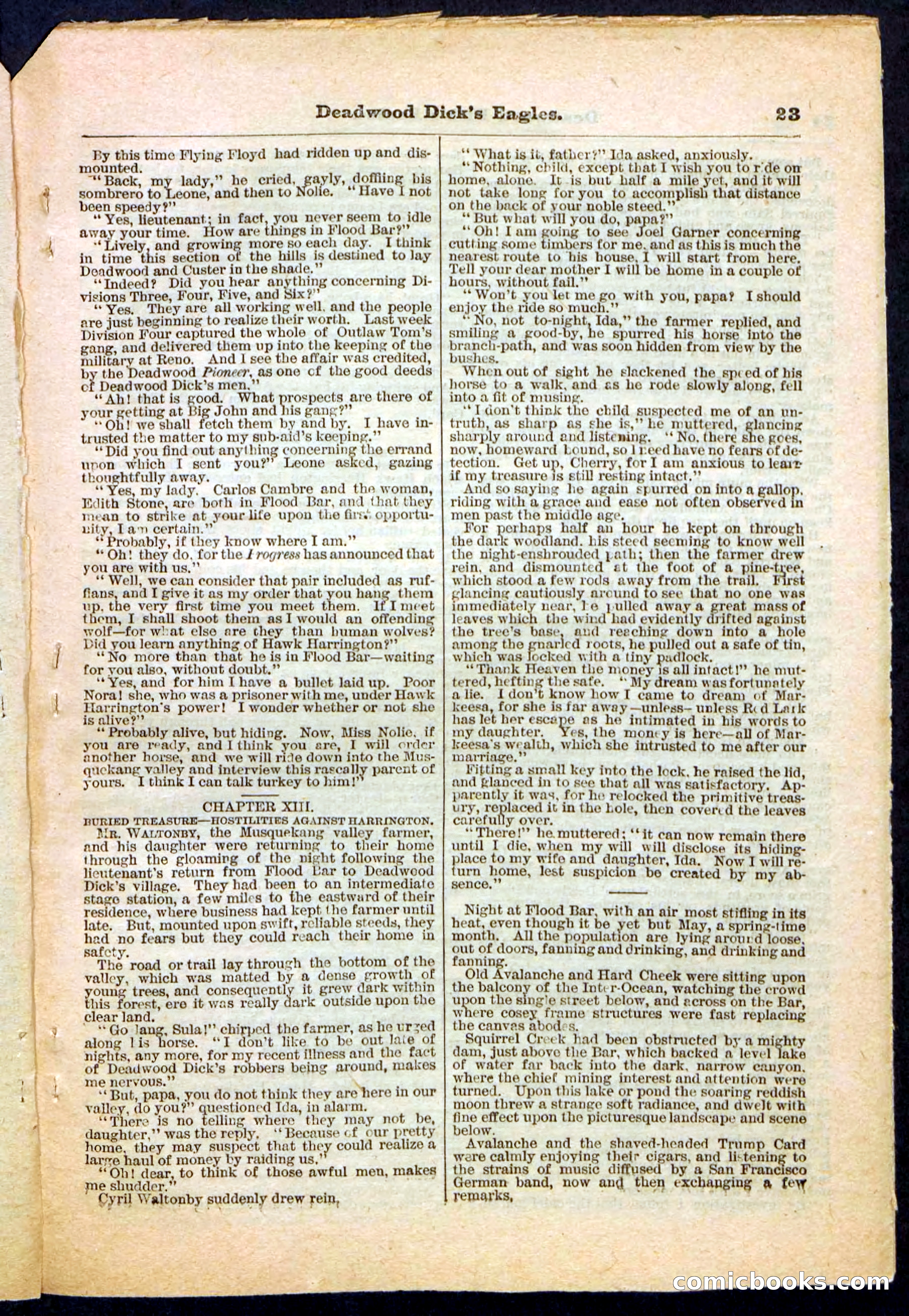 Beadle's Pocket Library, Vol. IV, No. 41 — page 23 of 32
