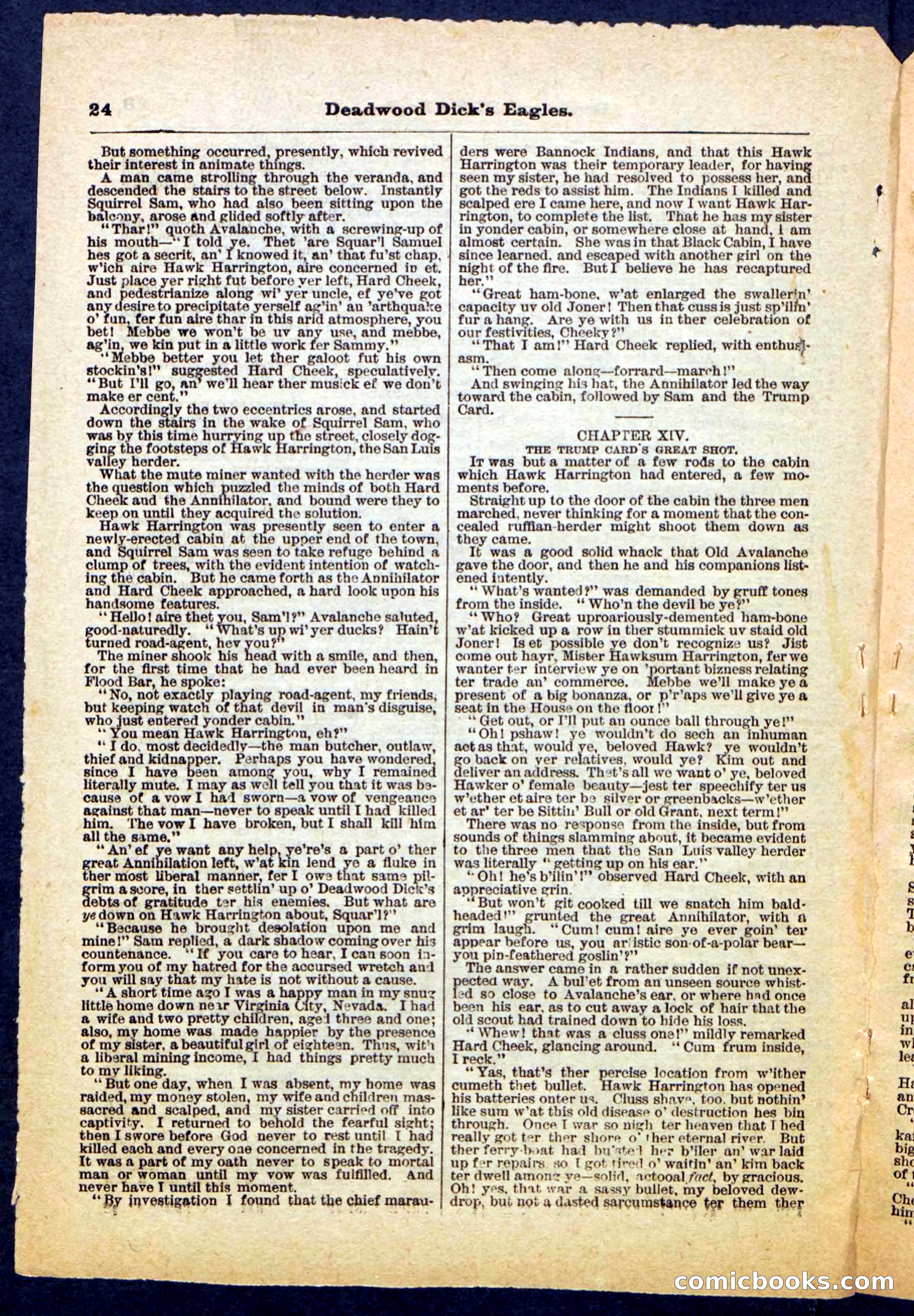 Beadle's Pocket Library, Vol. IV, No. 41 — page 24 of 32