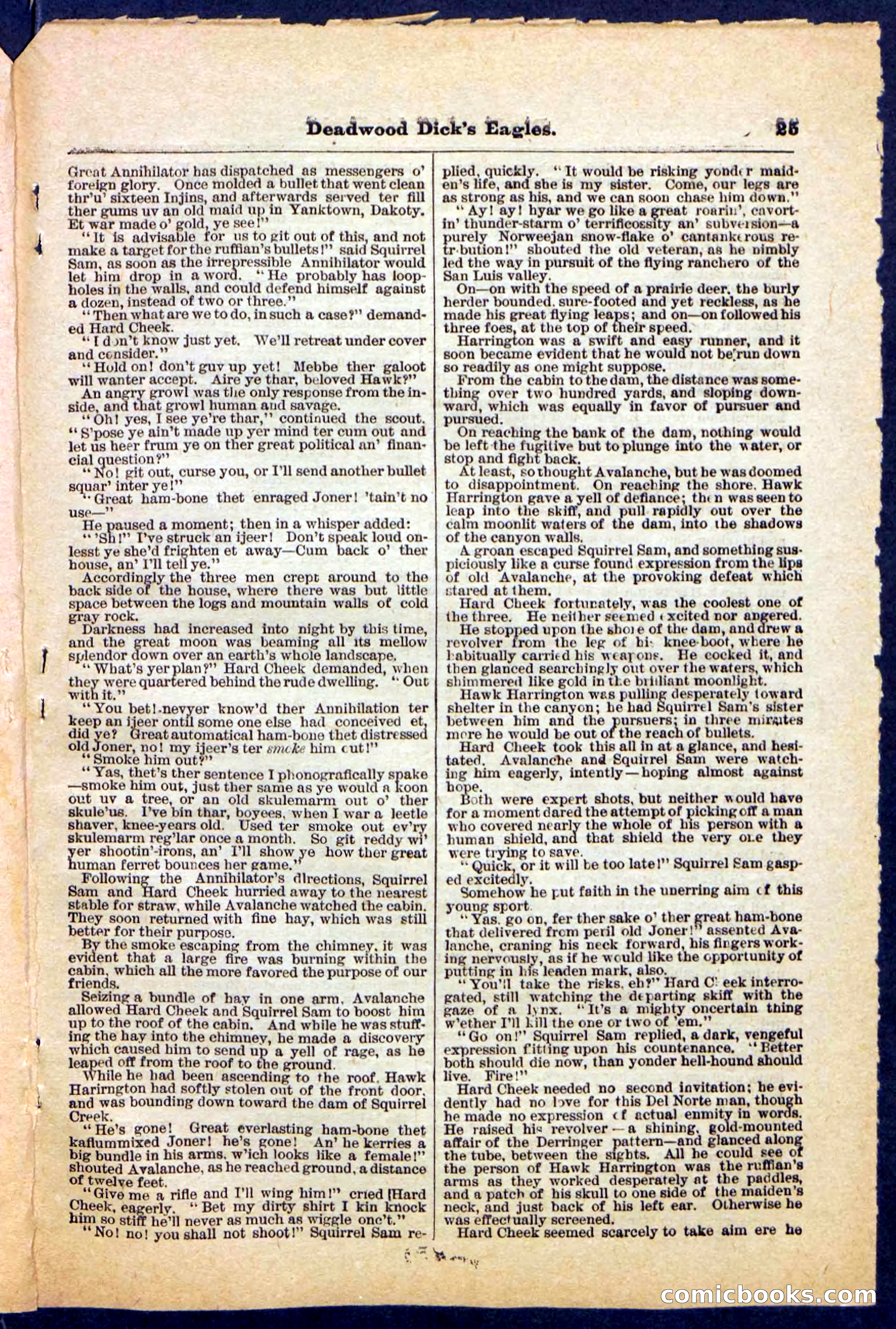 Beadle's Pocket Library, Vol. IV, No. 41 — page 25 of 32