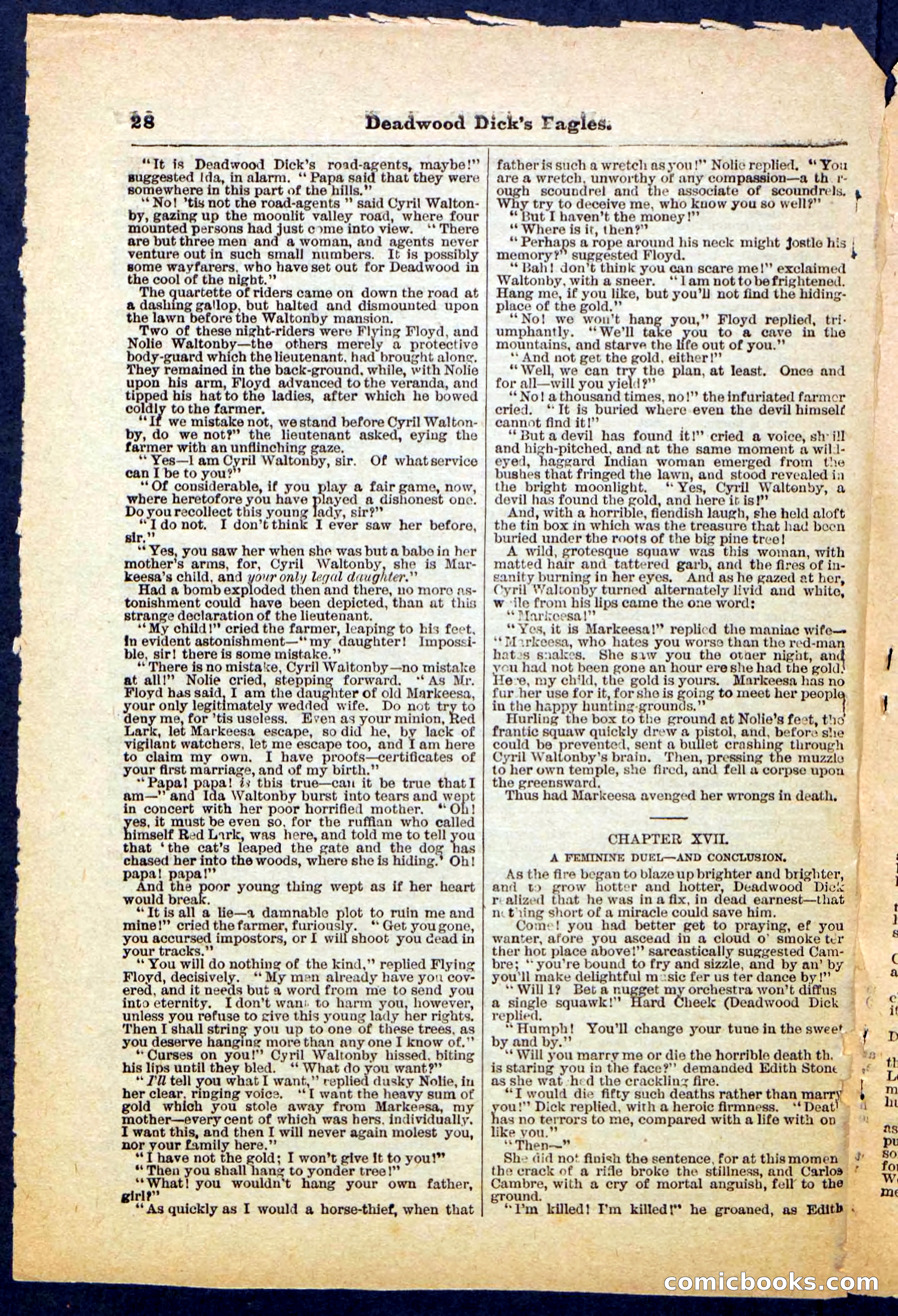 Beadle's Pocket Library, Vol. IV, No. 41 — page 28 of 32