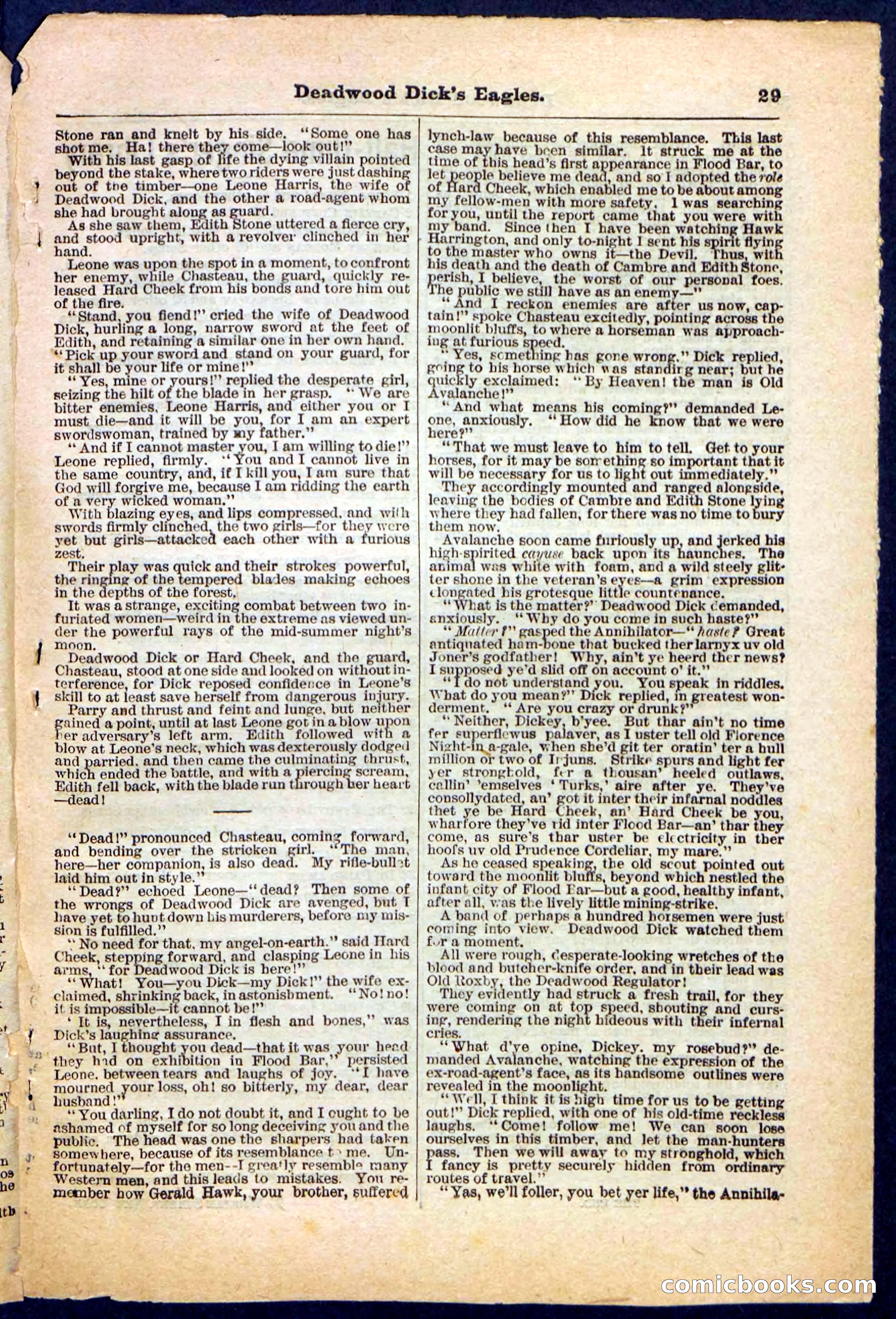 Beadle's Pocket Library, Vol. IV, No. 41 — page 29 of 32