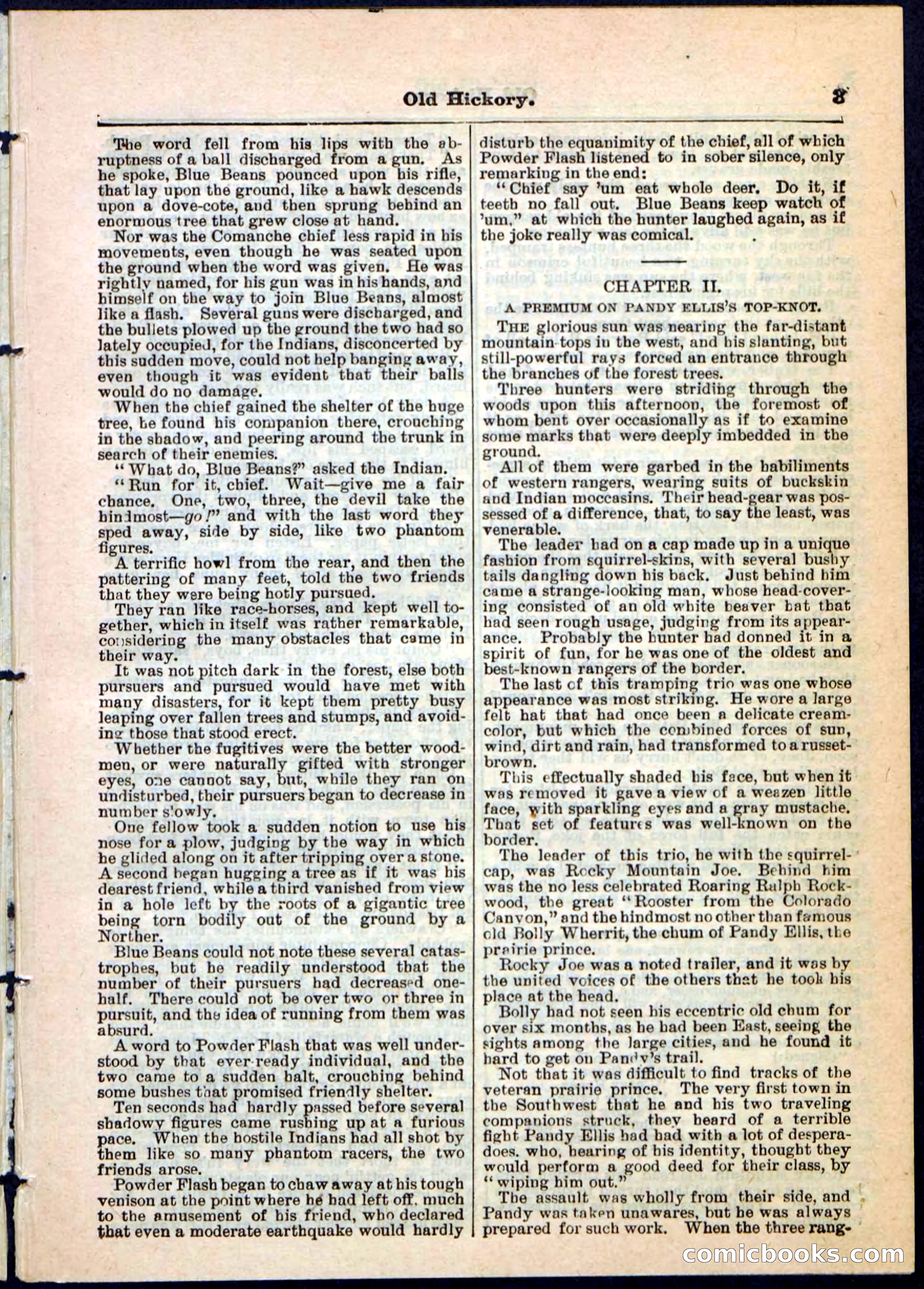 Beadle's Pocket Library, Vol. IV, No. 43 — page 3 of 32