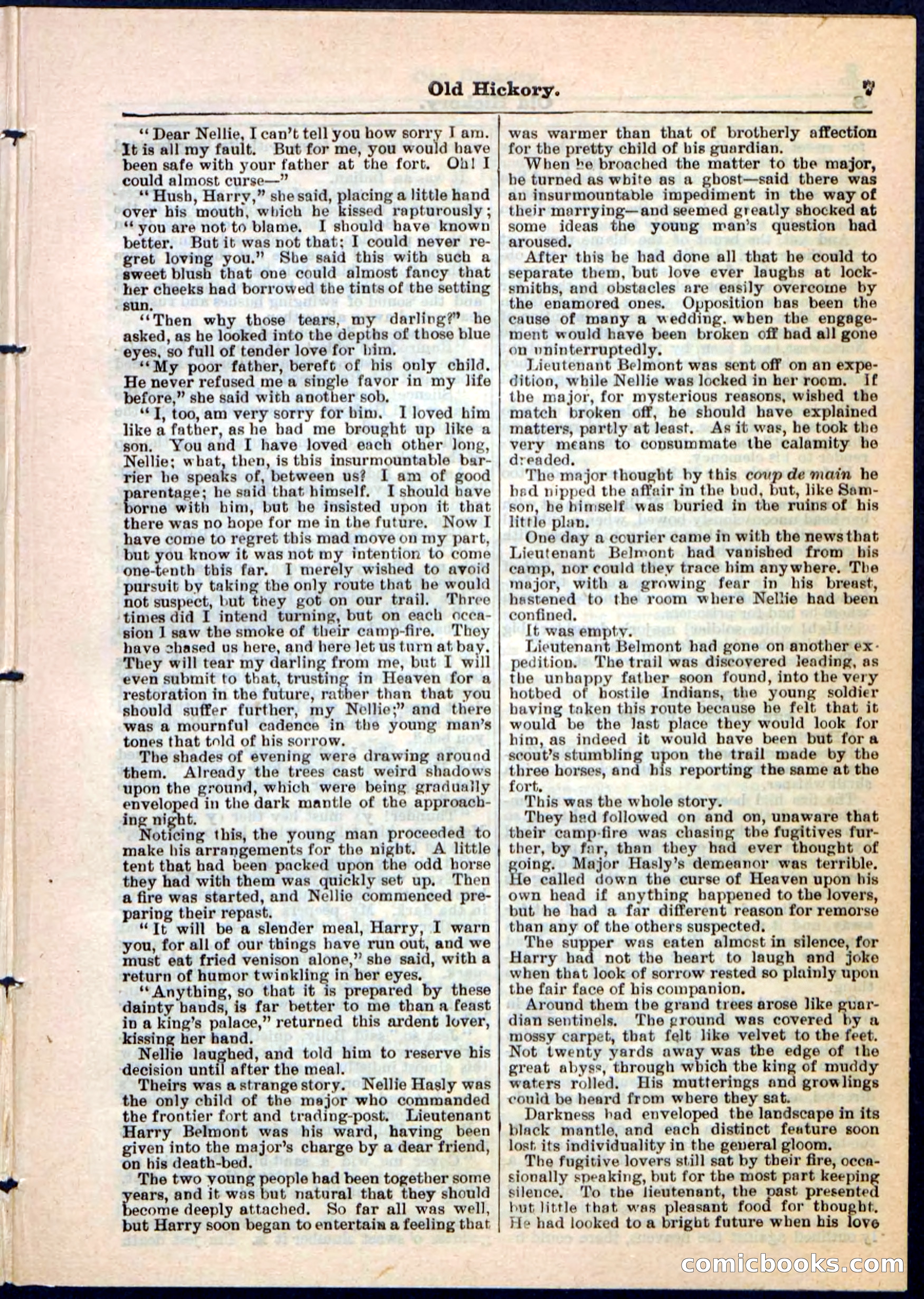 Beadle's Pocket Library, Vol. IV, No. 43 — page 7 of 32