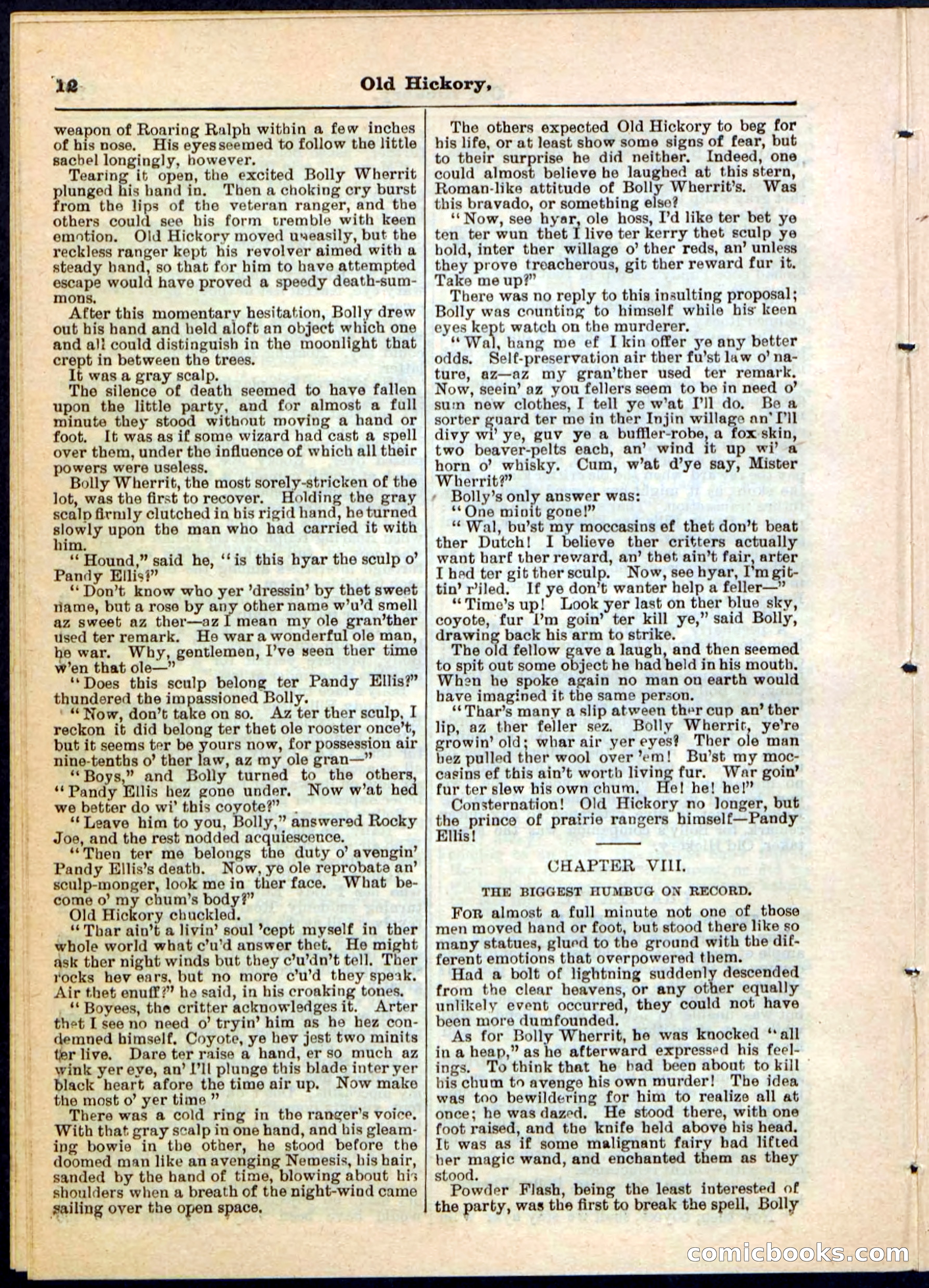 Beadle's Pocket Library, Vol. IV, No. 43 — page 12 of 32