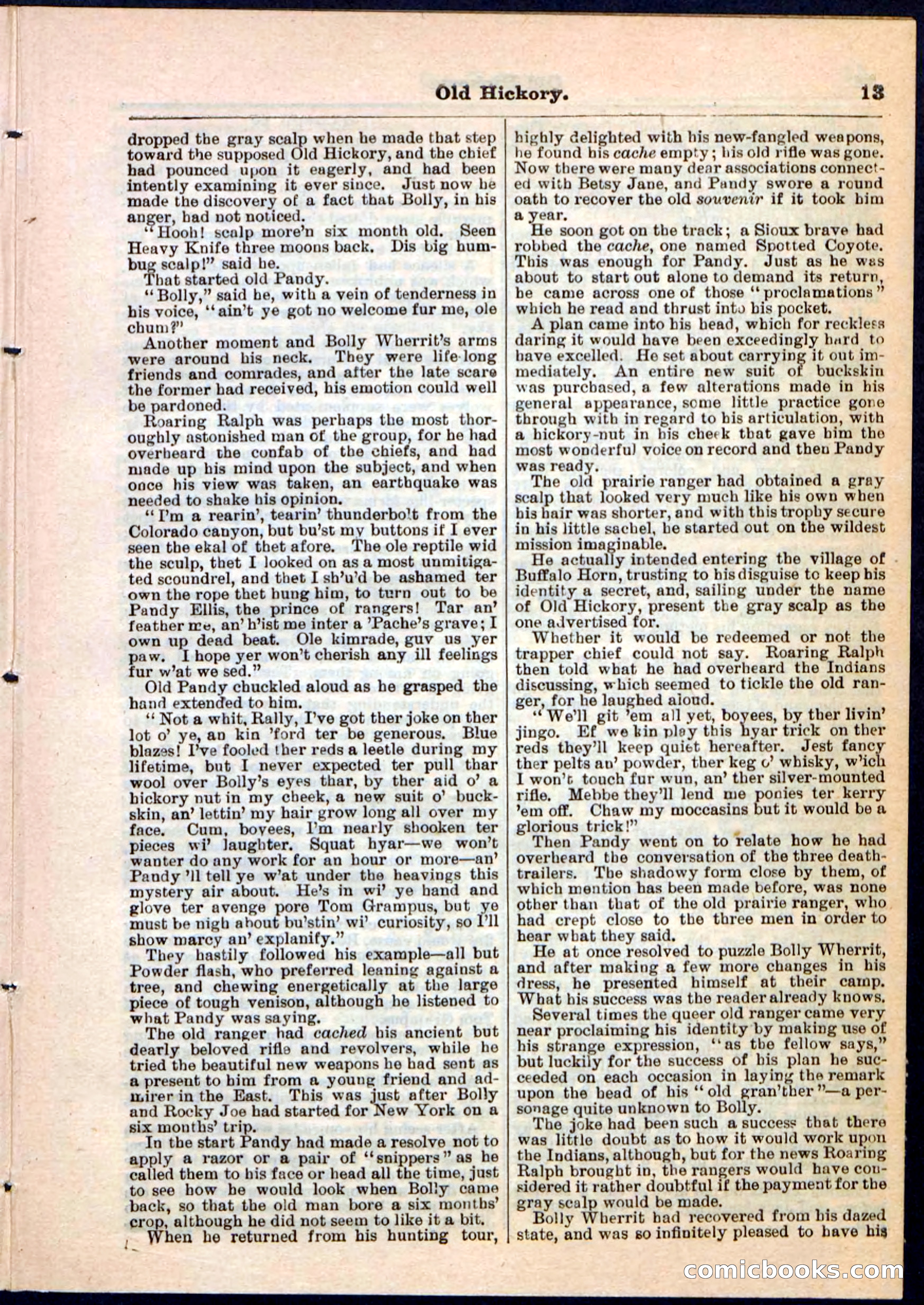 Beadle's Pocket Library, Vol. IV, No. 43 — page 13 of 32