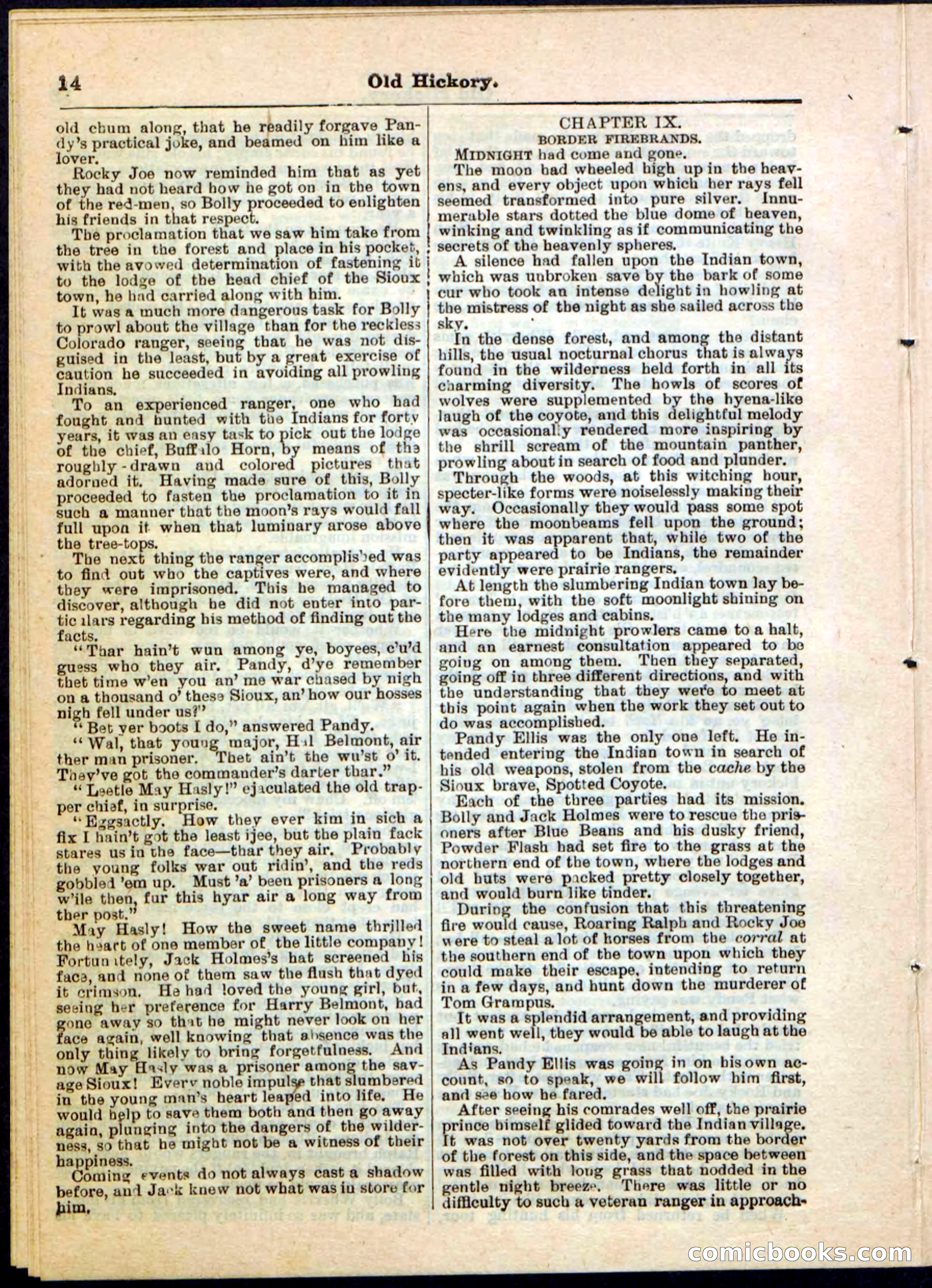 Beadle's Pocket Library, Vol. IV, No. 43 — page 14 of 32