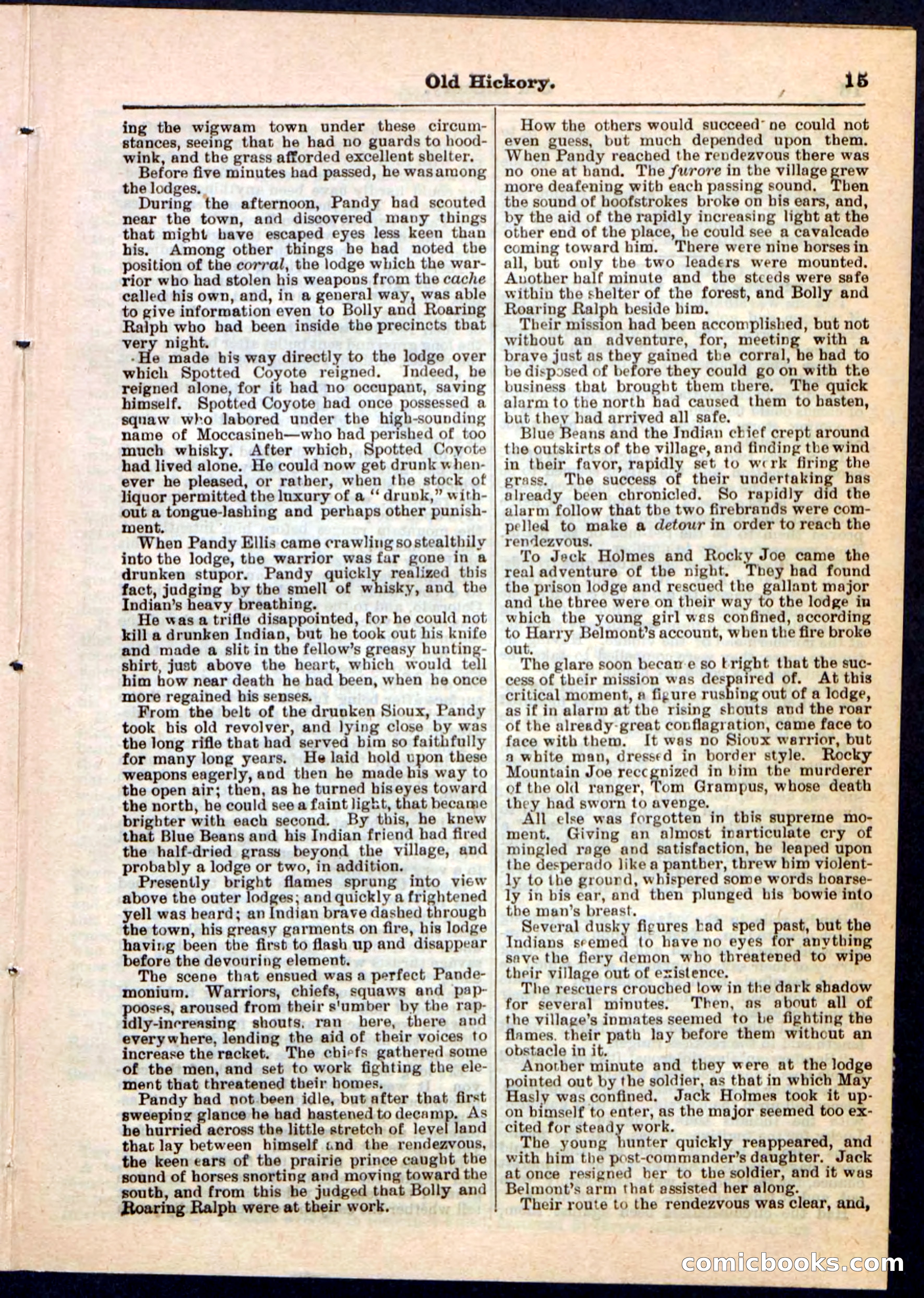 Beadle's Pocket Library, Vol. IV, No. 43 — page 15 of 32