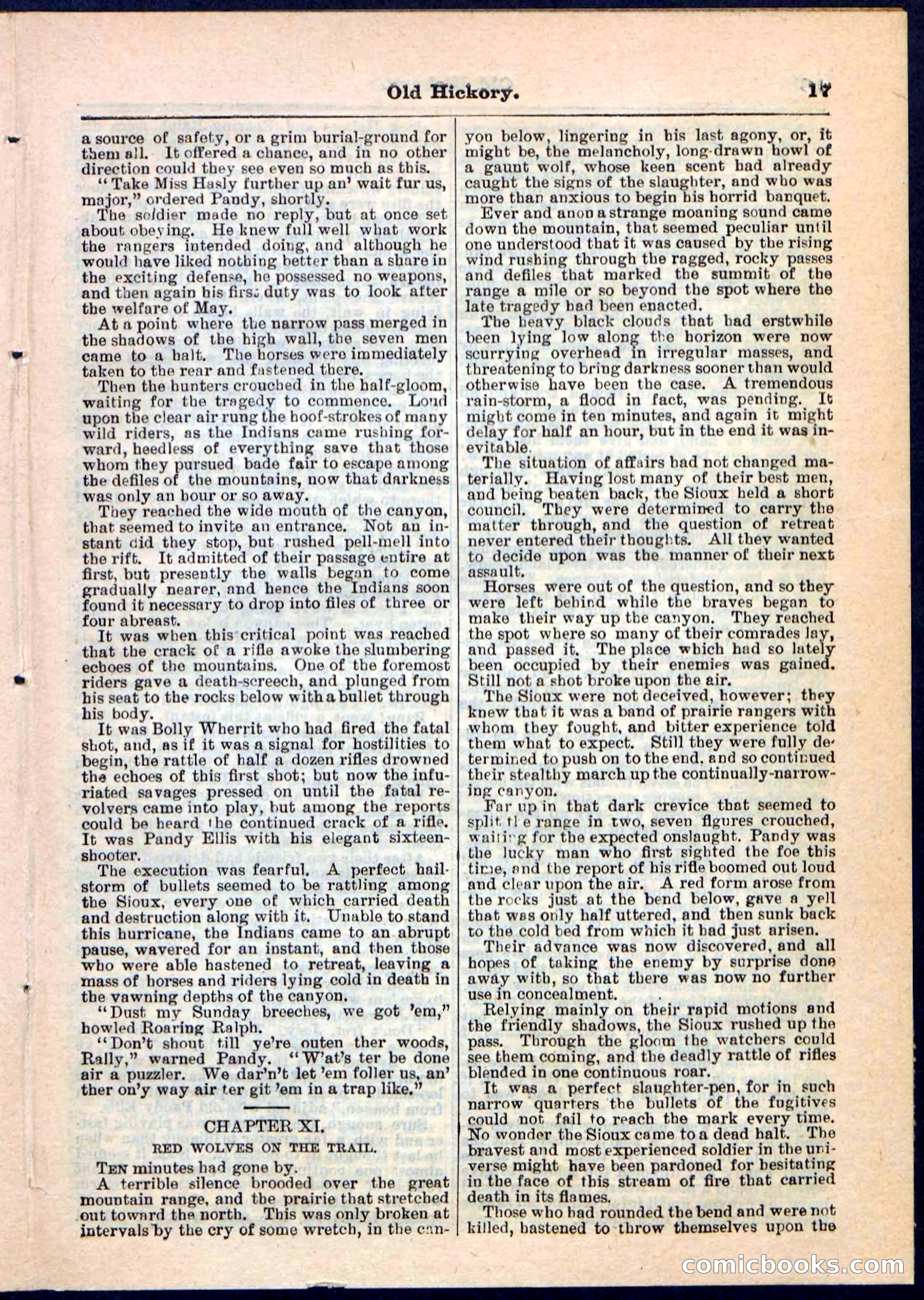 Beadle's Pocket Library, Vol. IV, No. 43 — page 17 of 32