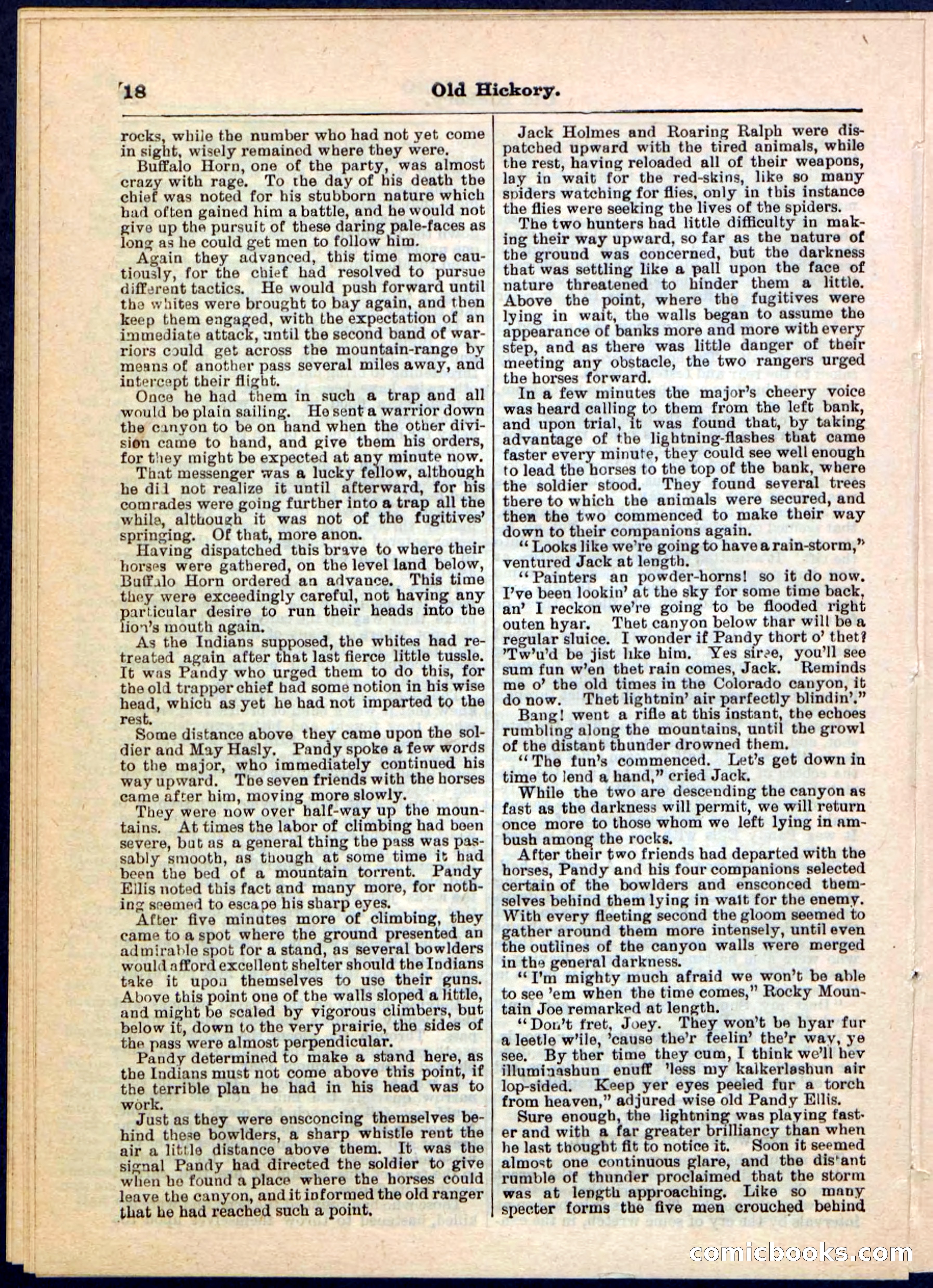 Beadle's Pocket Library, Vol. IV, No. 43 — page 18 of 32
