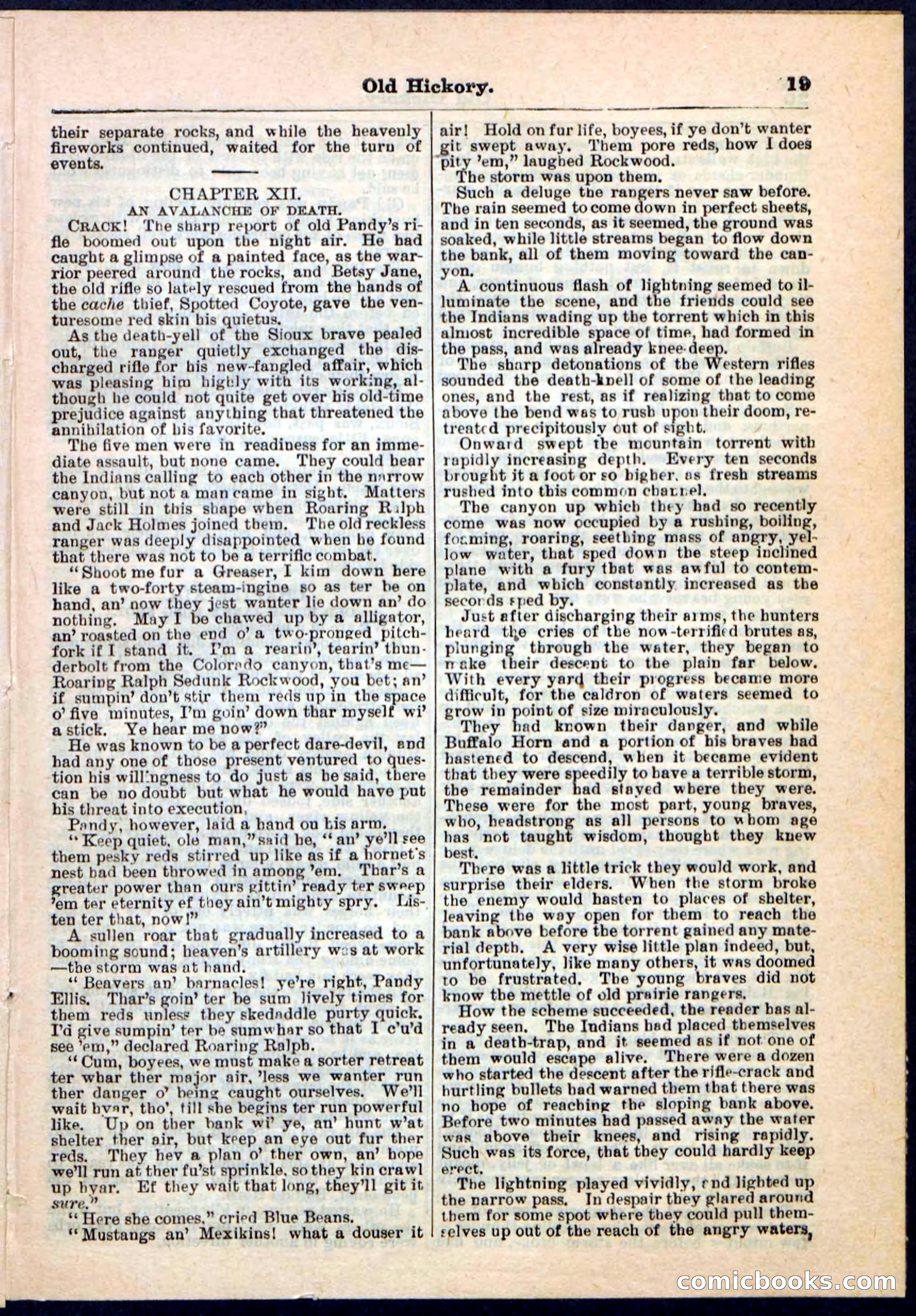 Beadle's Pocket Library, Vol. IV, No. 43 — page 19 of 32