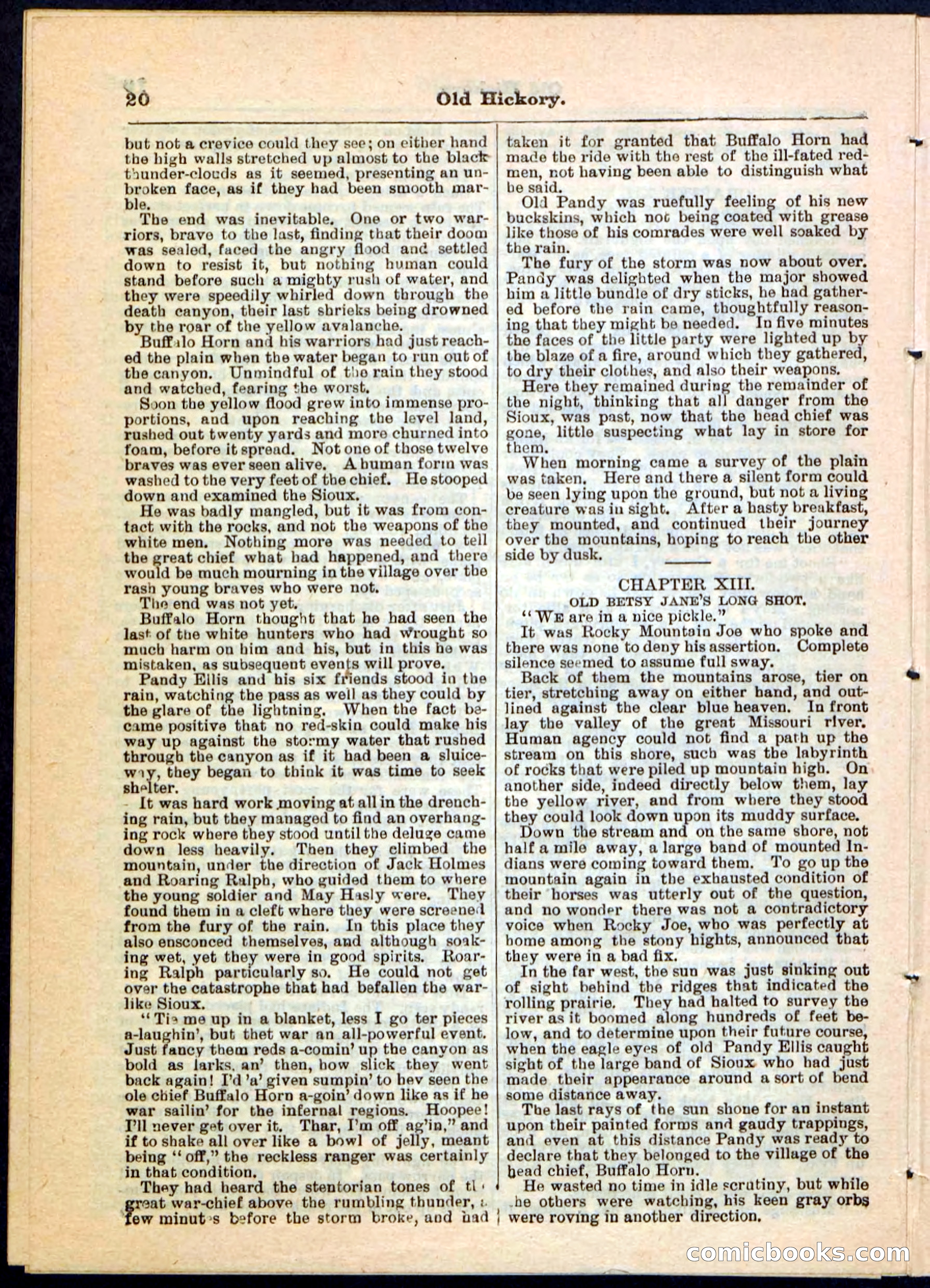 Beadle's Pocket Library, Vol. IV, No. 43 — page 20 of 32