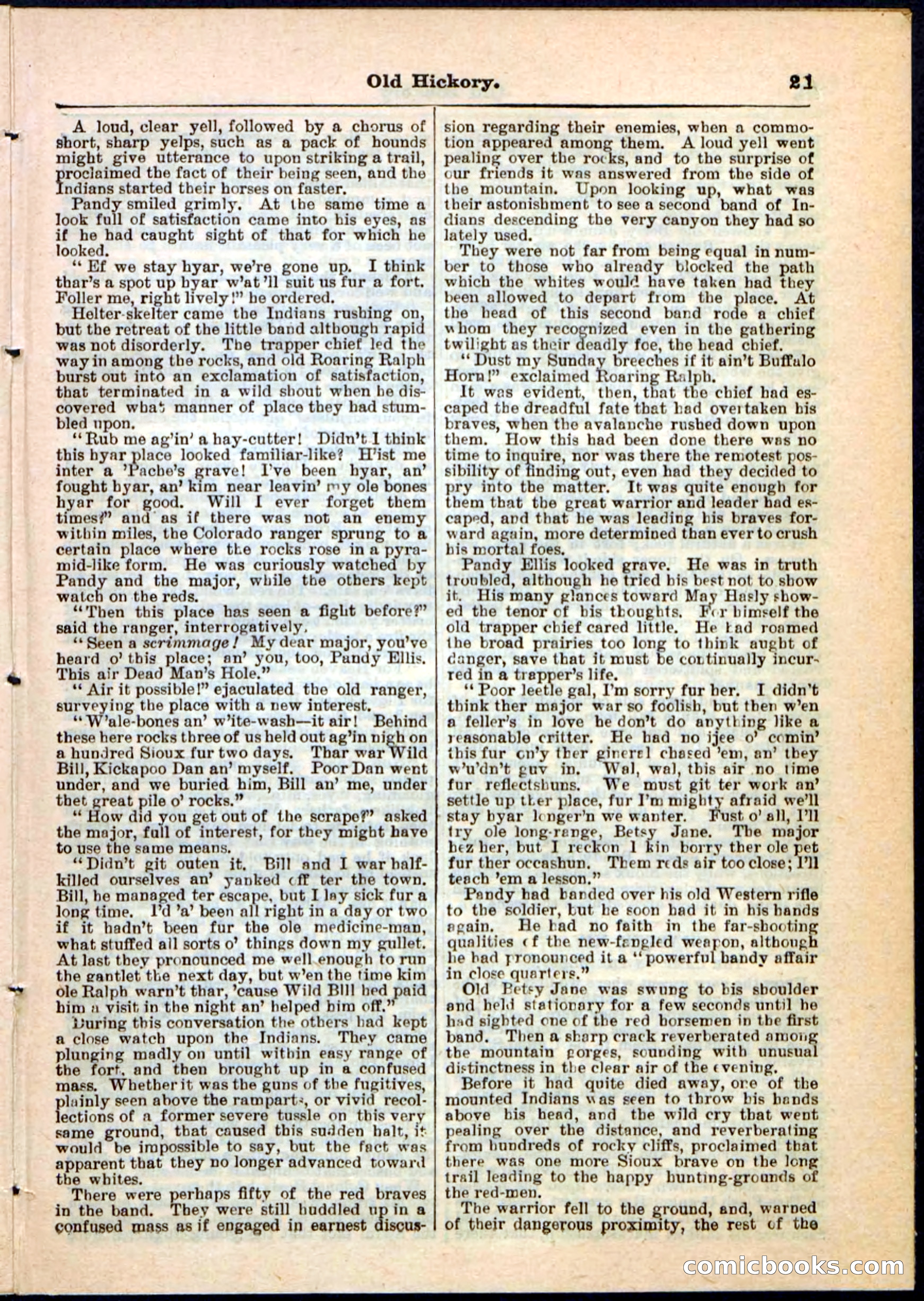 Beadle's Pocket Library, Vol. IV, No. 43 — page 21 of 32