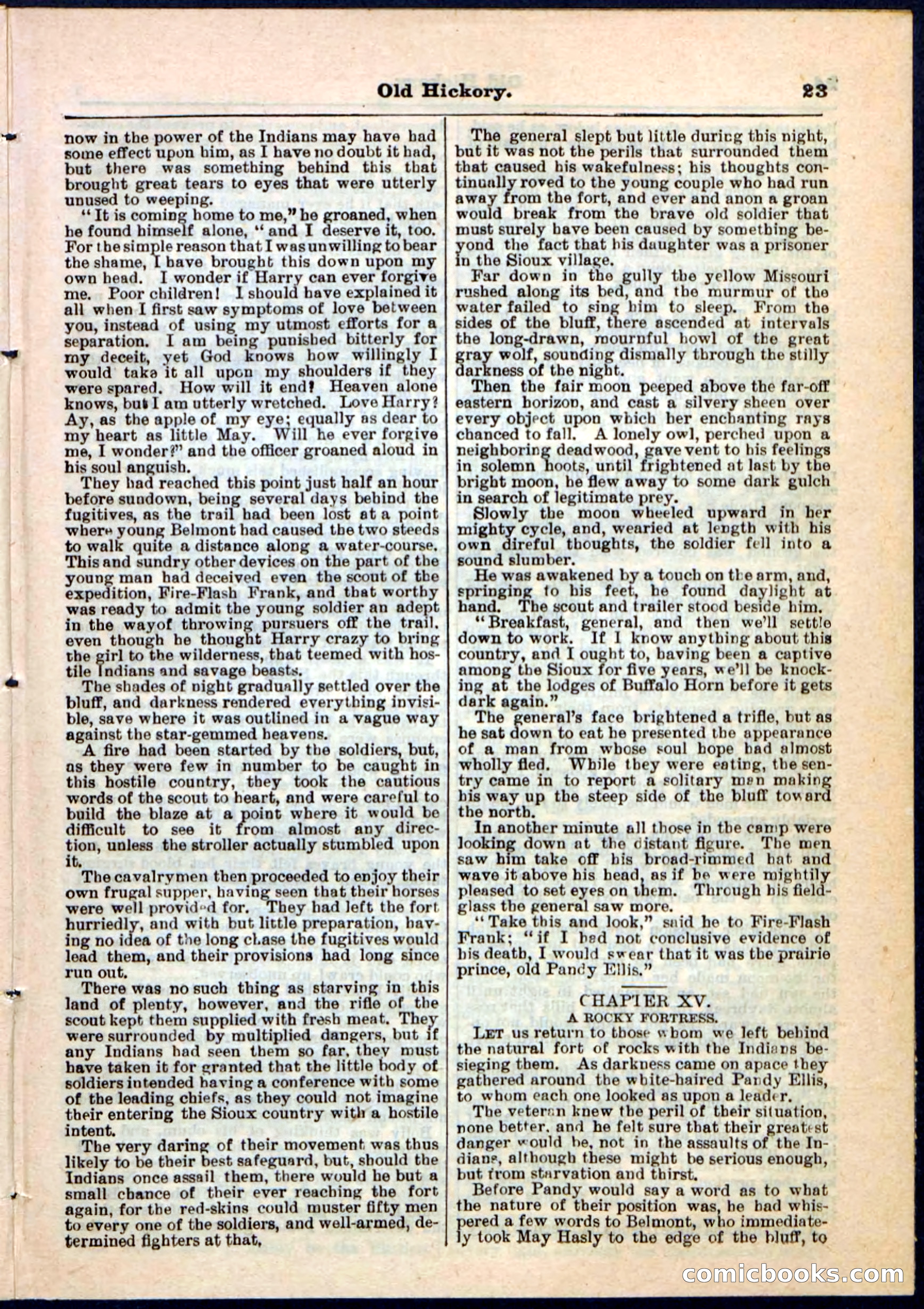 Beadle's Pocket Library, Vol. IV, No. 43 — page 23 of 32